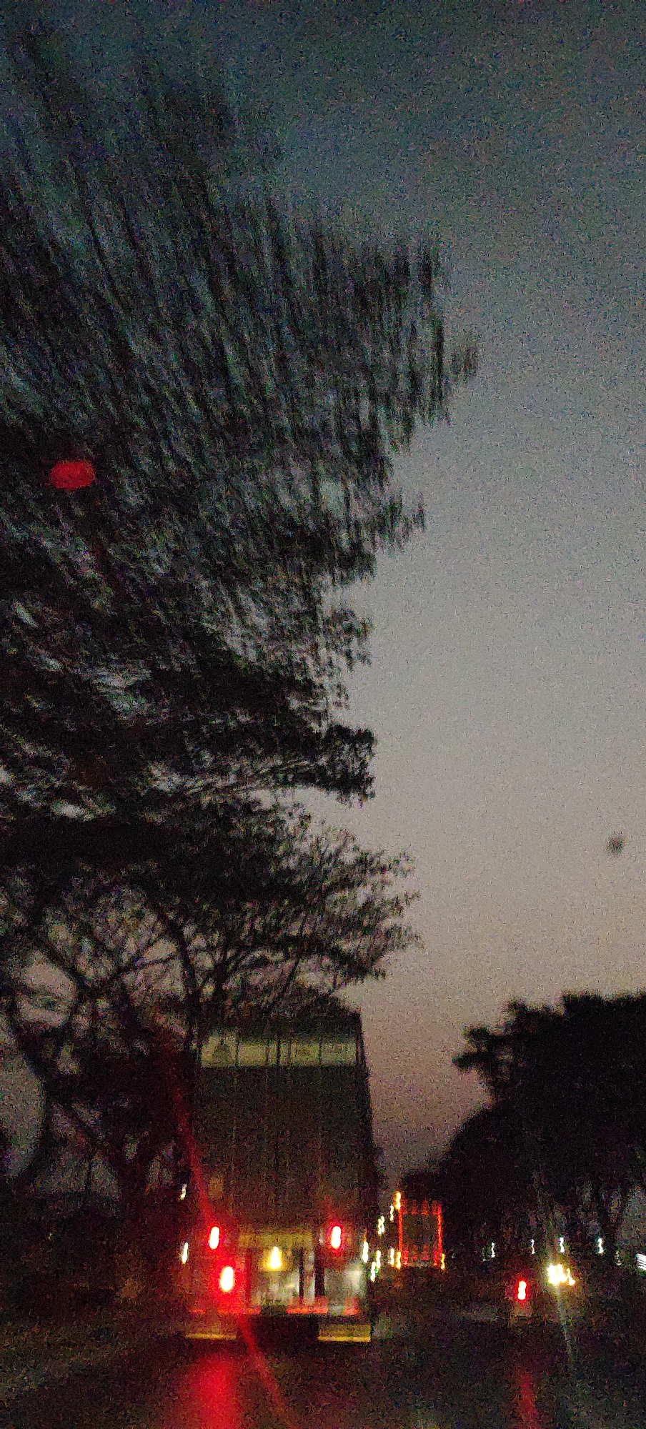 Blurred dusk drive through tree-lined roads near Rembang