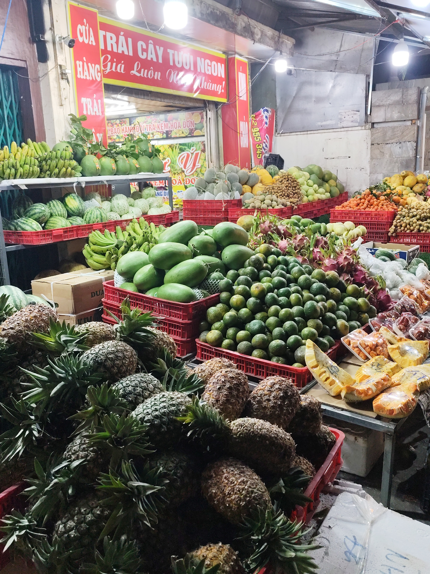 Da Lat Vietnam urban scenes captured across hotels markets