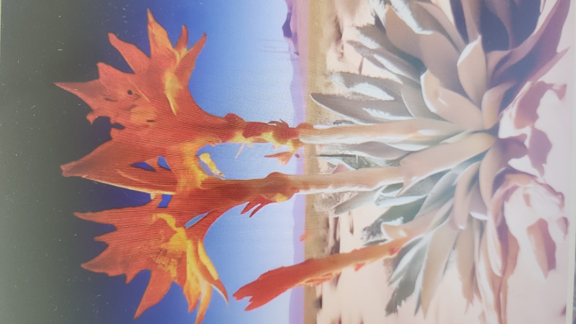 Close-up plant details: aloe in bloom and lush serrated foliage