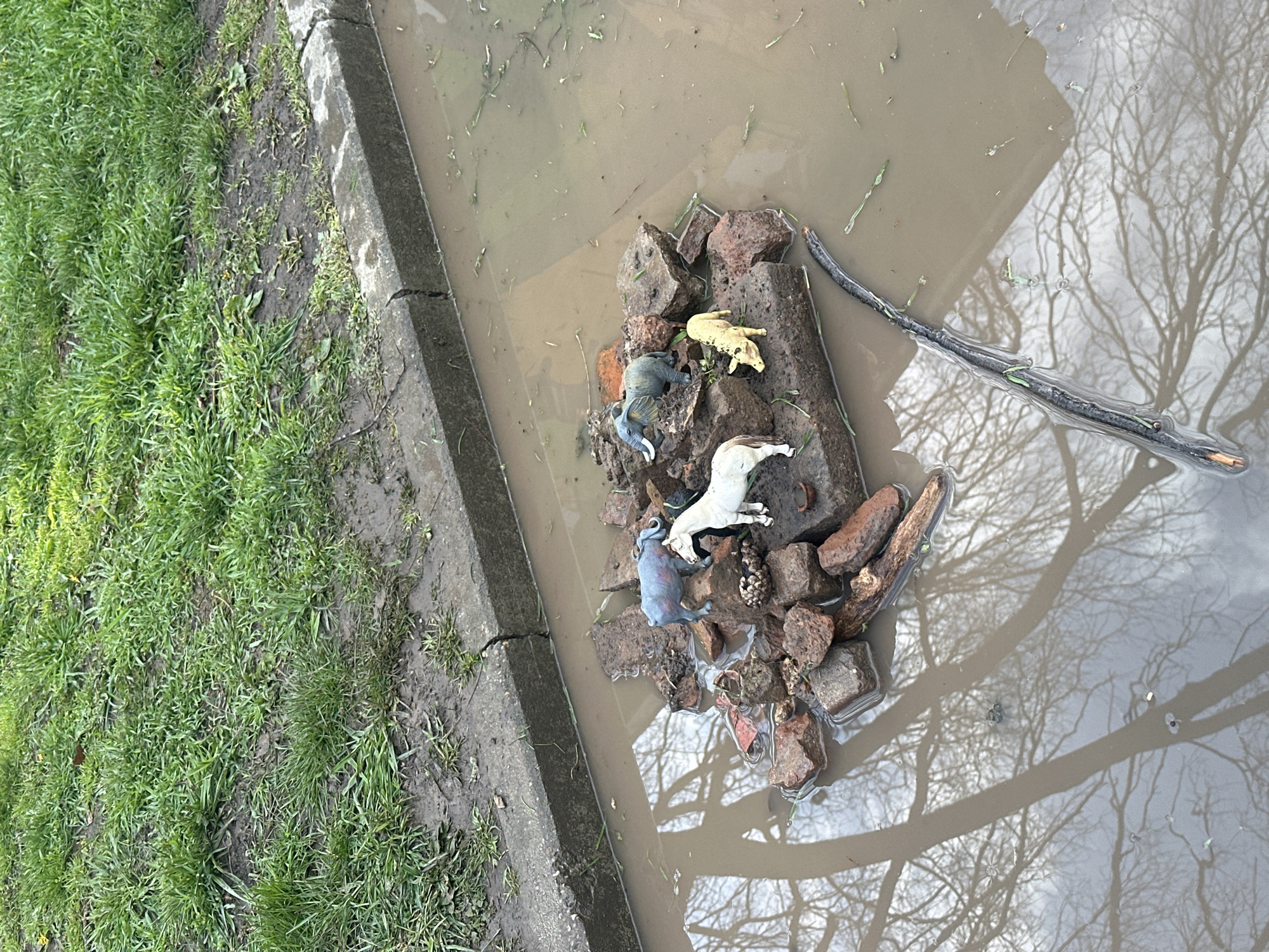 Toy animals arranged on makeshift island in flooded Bulgarian gutter