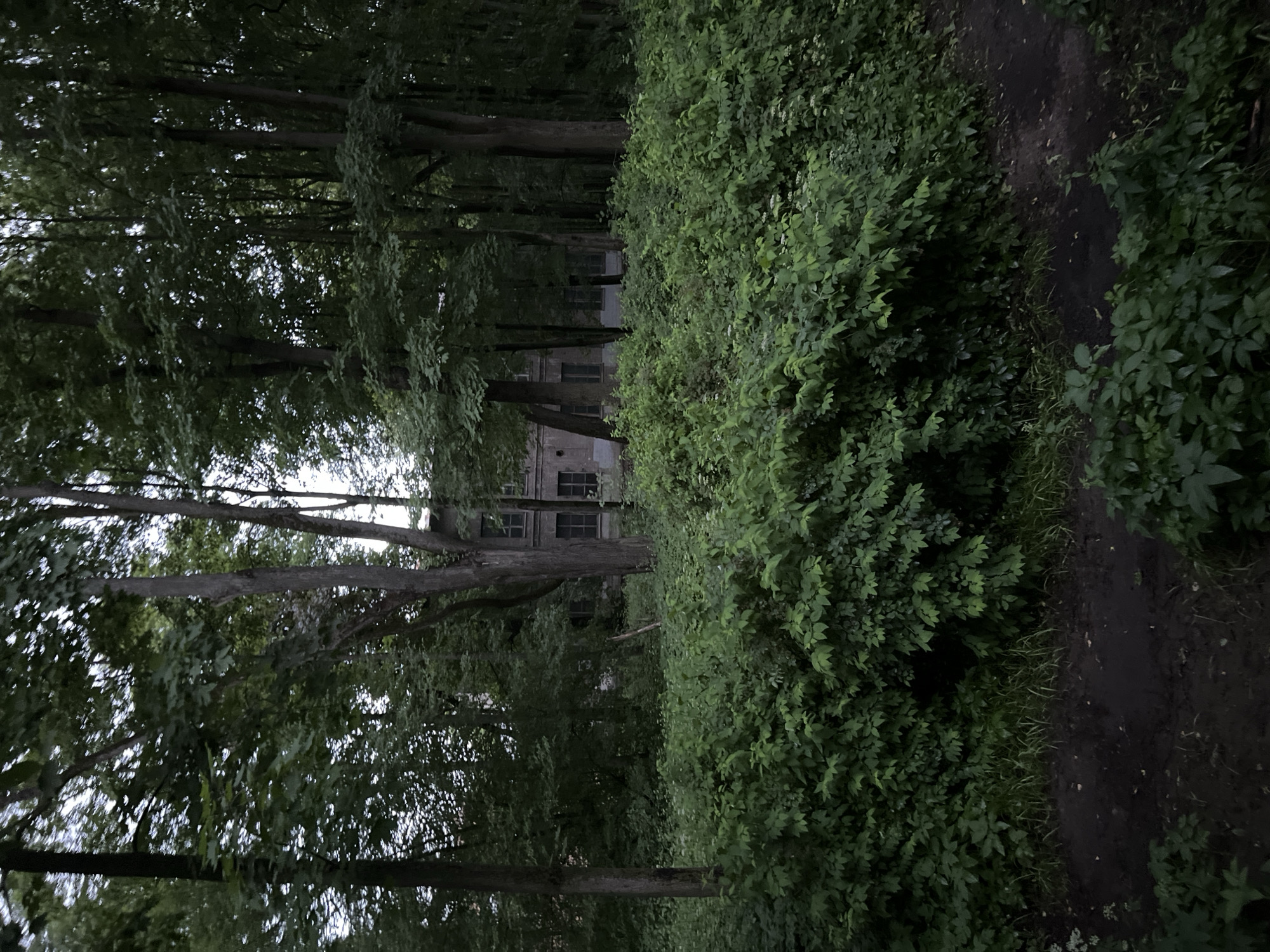 Evening walk documented through Saint Petersburg parks and streets