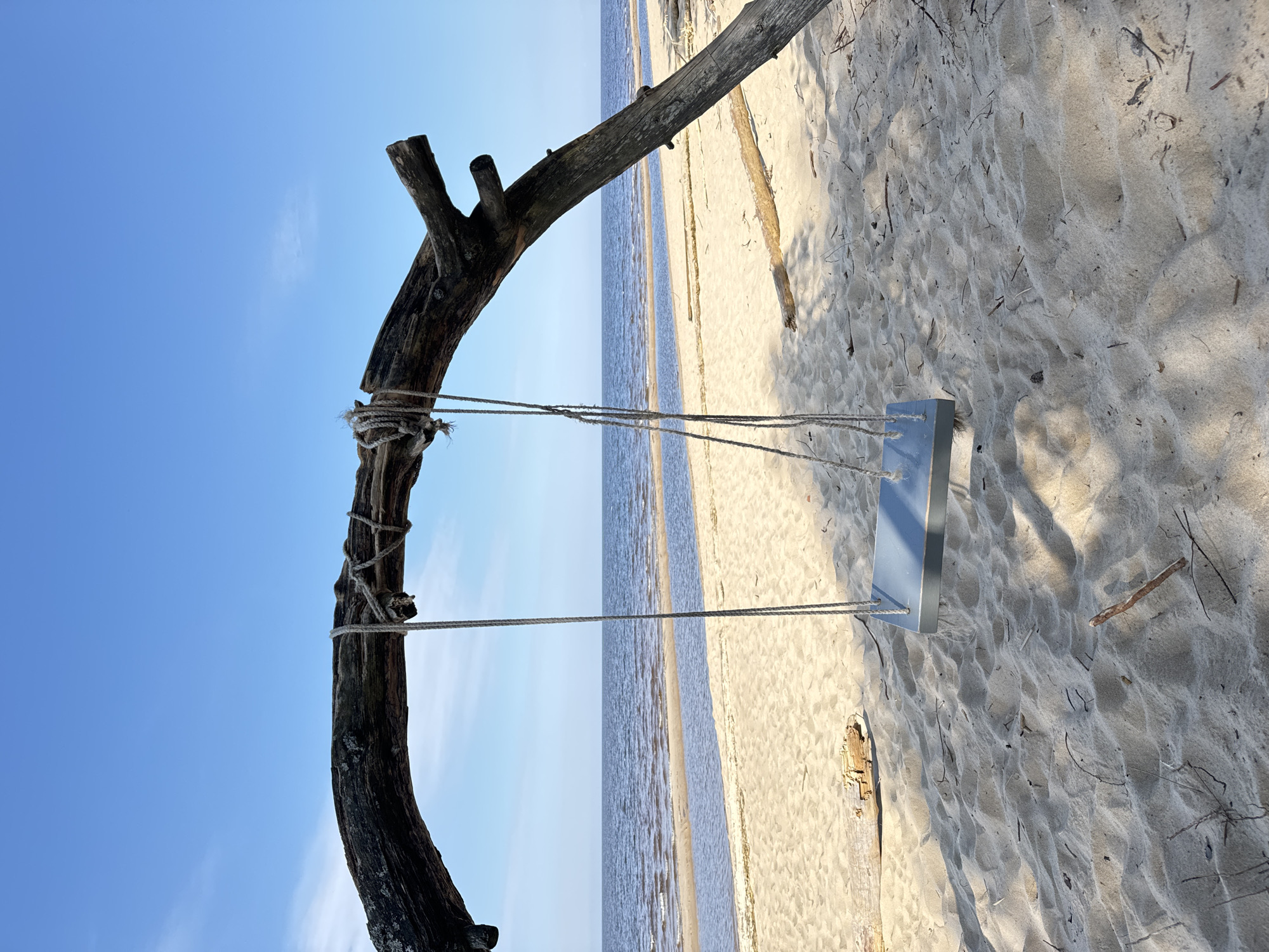 Natural branch swing spotted on Saulkrasti beach