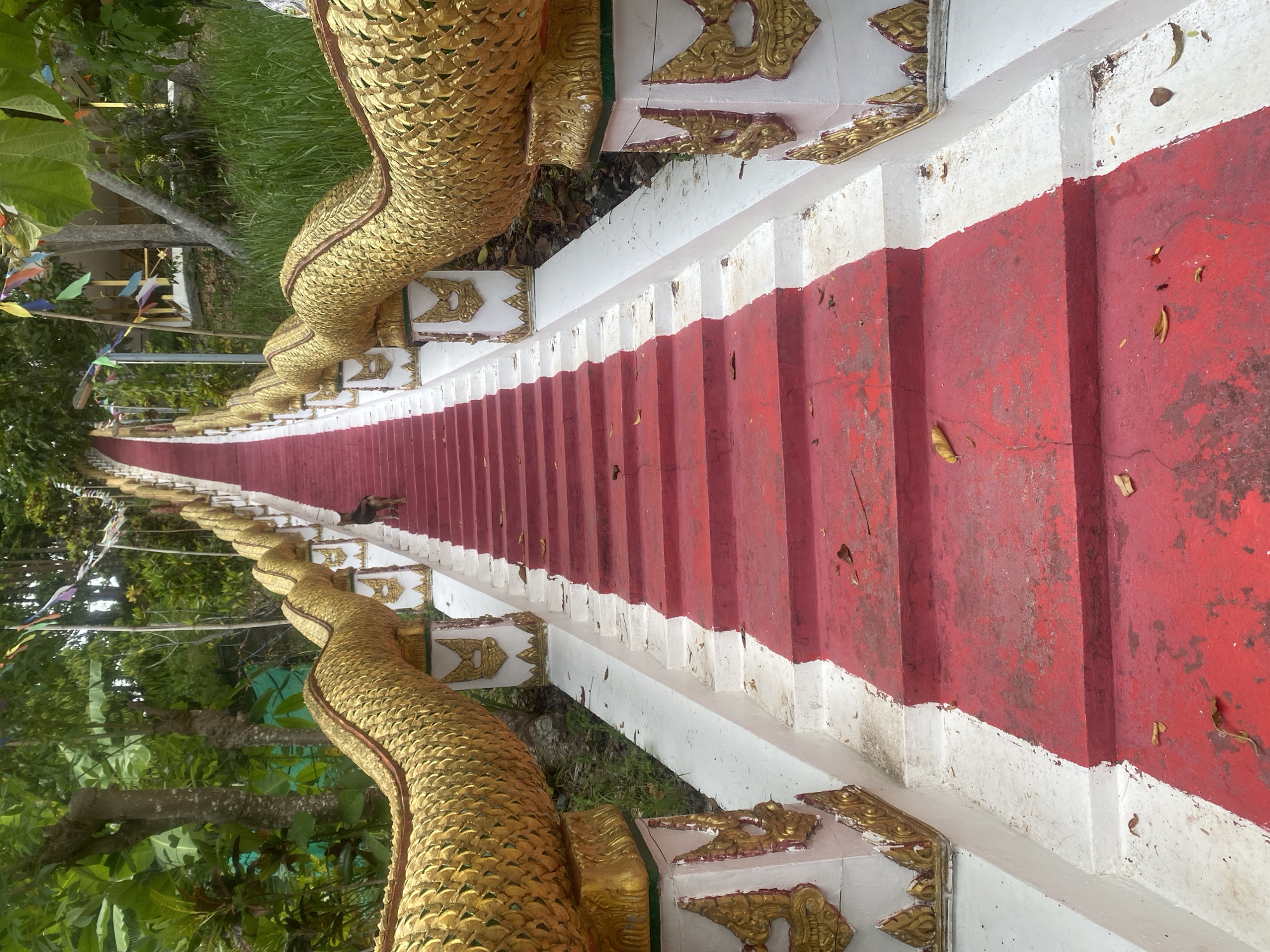 Temple stairs with golden dragon sculptures documented in Thailand