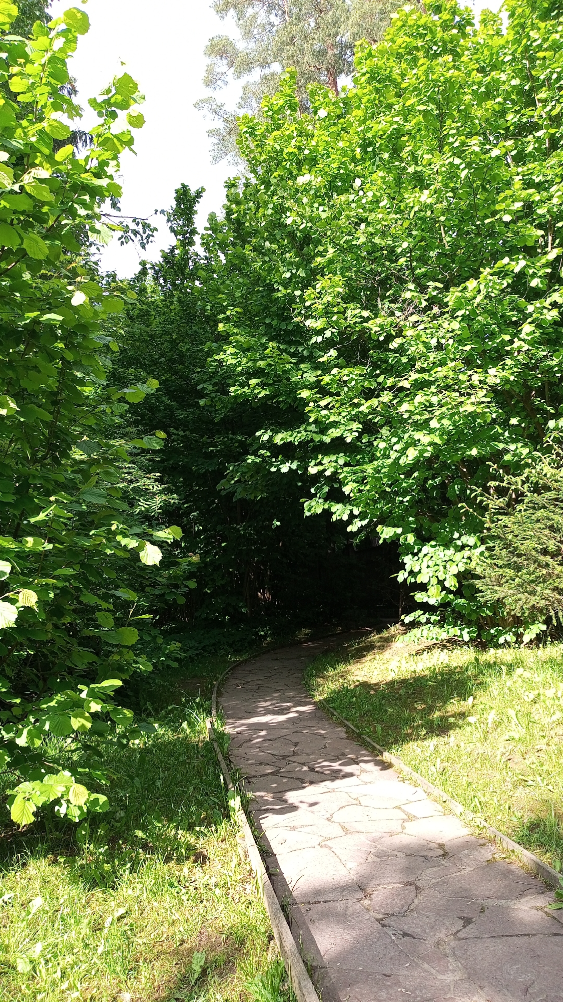 Afternoon park visit documented in Odintsovo, Russia with nature walks
