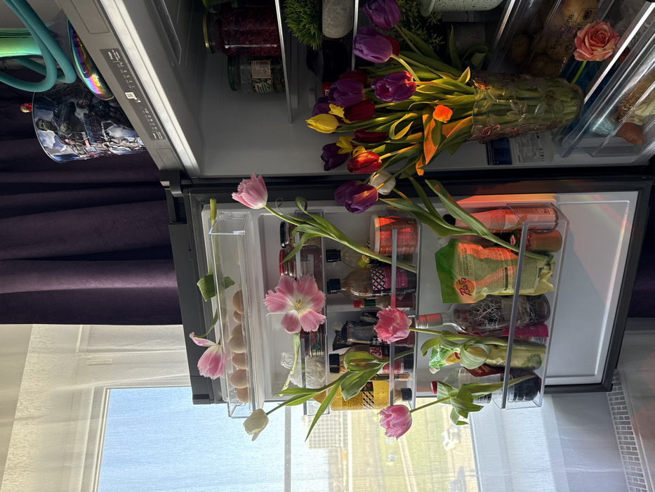 Domestic morning routine captured through refrigerator, clothing, window views