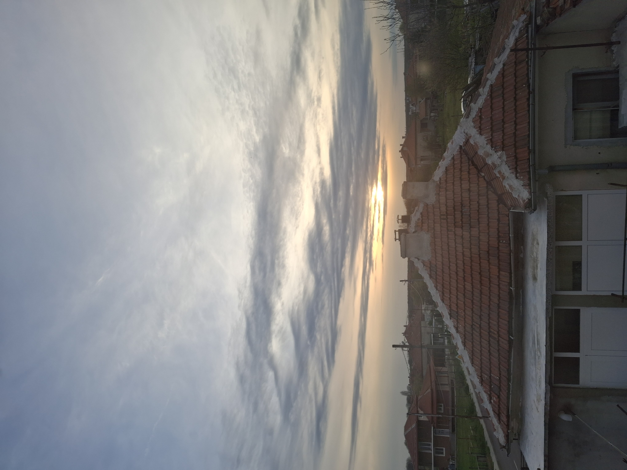 Sunset and cactus scenes observed in residential area