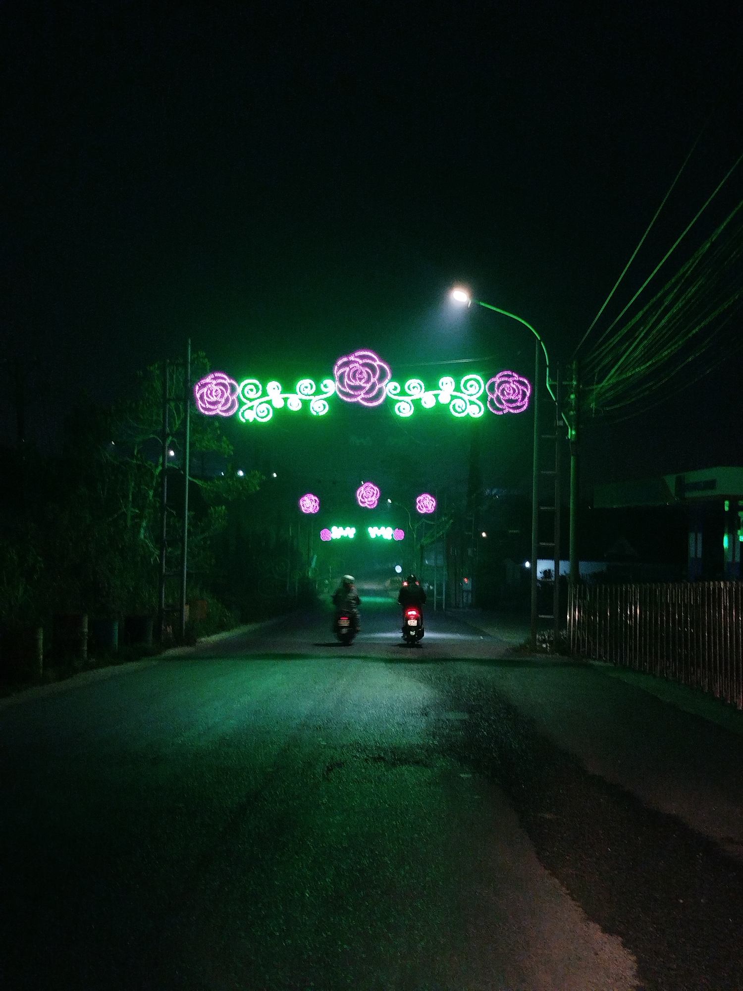 Ornate neon rose lighting illuminates Da Lat street at night