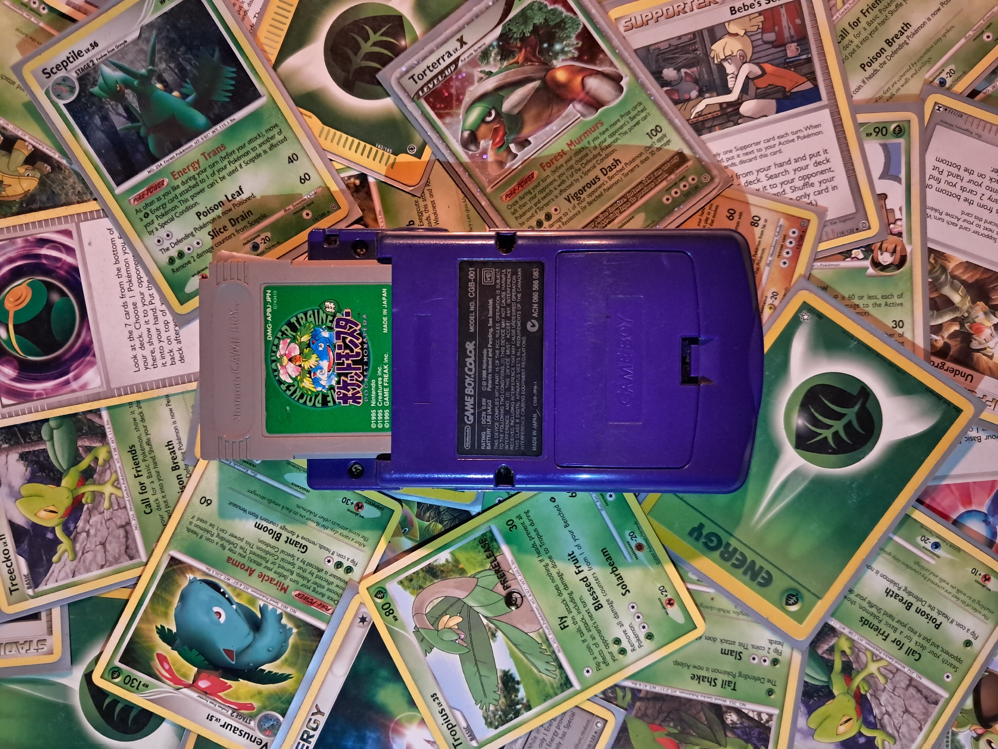 Pokémon gaming session captured in Vicente López, Argentina