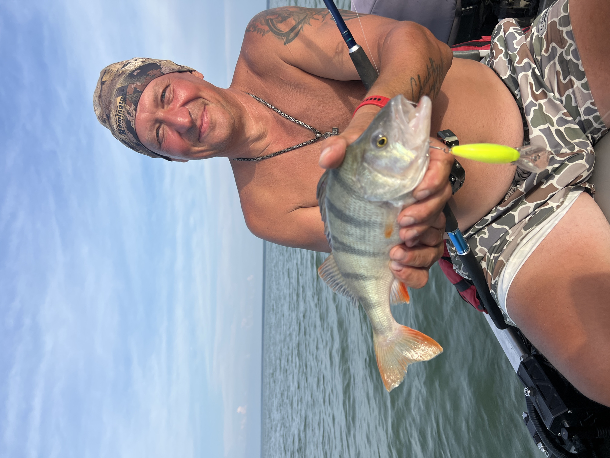 Perch caught and weighed on a boat near Borovoe