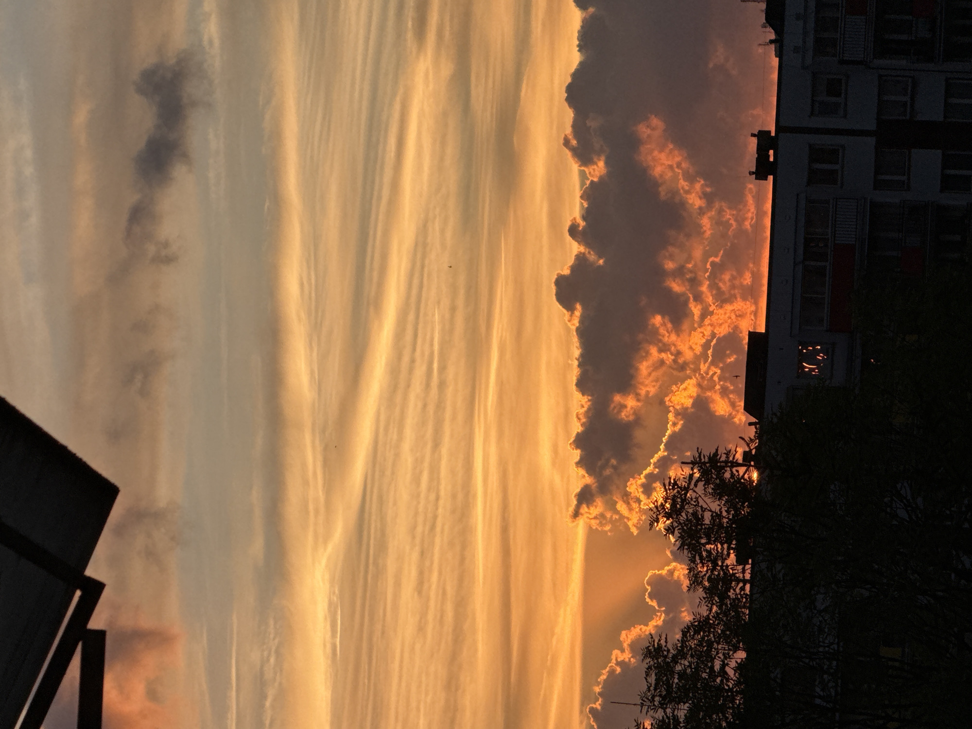 Balcony evenings in Białystok: sunsets, flowers, and selfies
