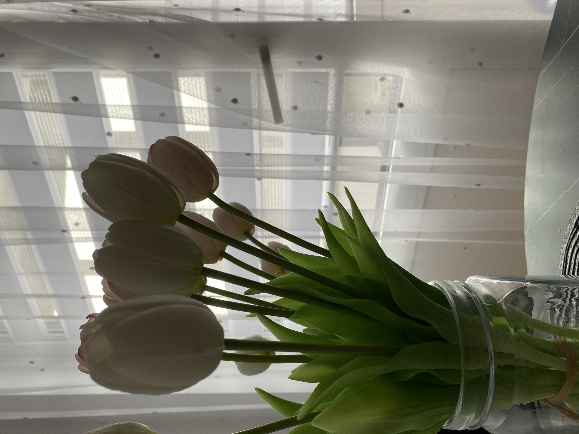 Selfies and artificial tulips in a Voronezh moment