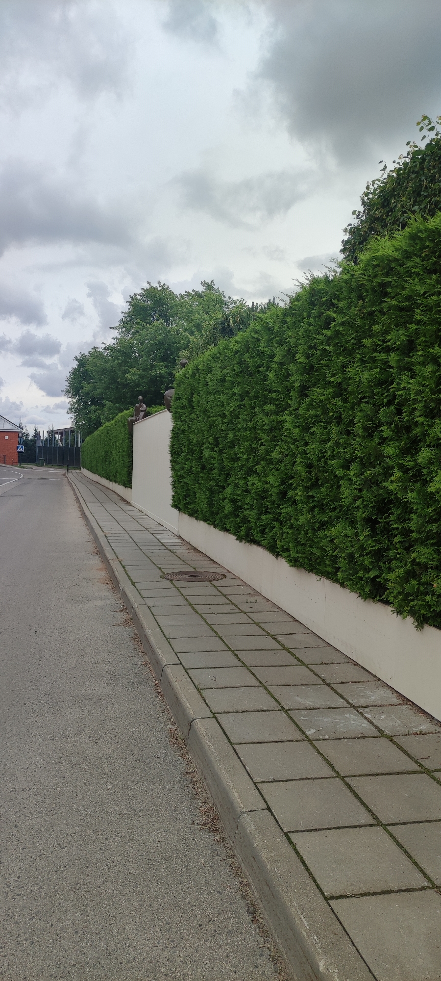 Rosinka's gardens and streets on a quiet July morning