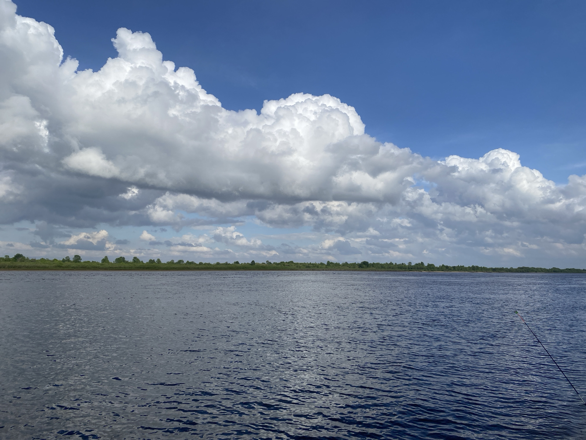 Morning fishing session captured along tree-lined river under cloudy skies