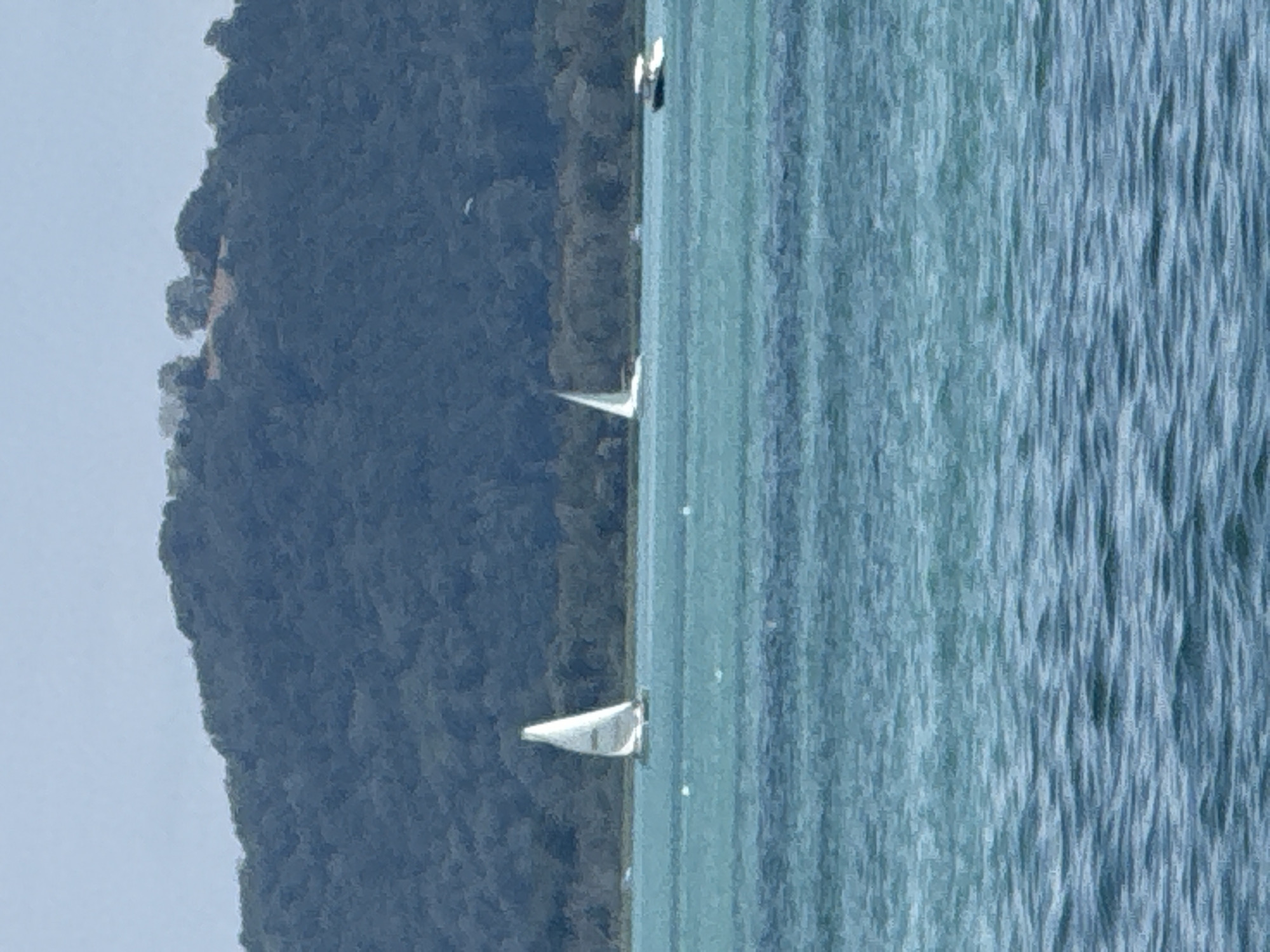 Afternoon sailing activity on Lac de Neuchâtel