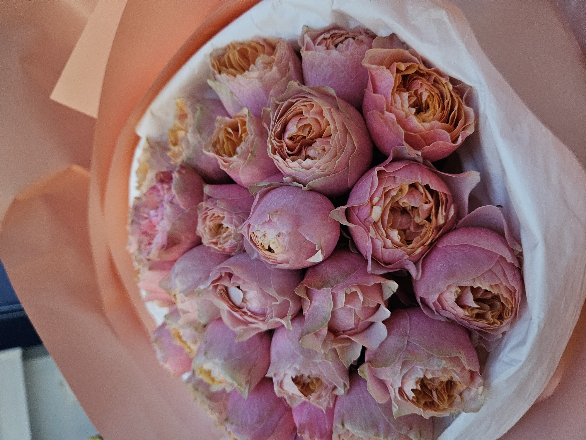 Peach roses and selfies from a July afternoon in Chișinău