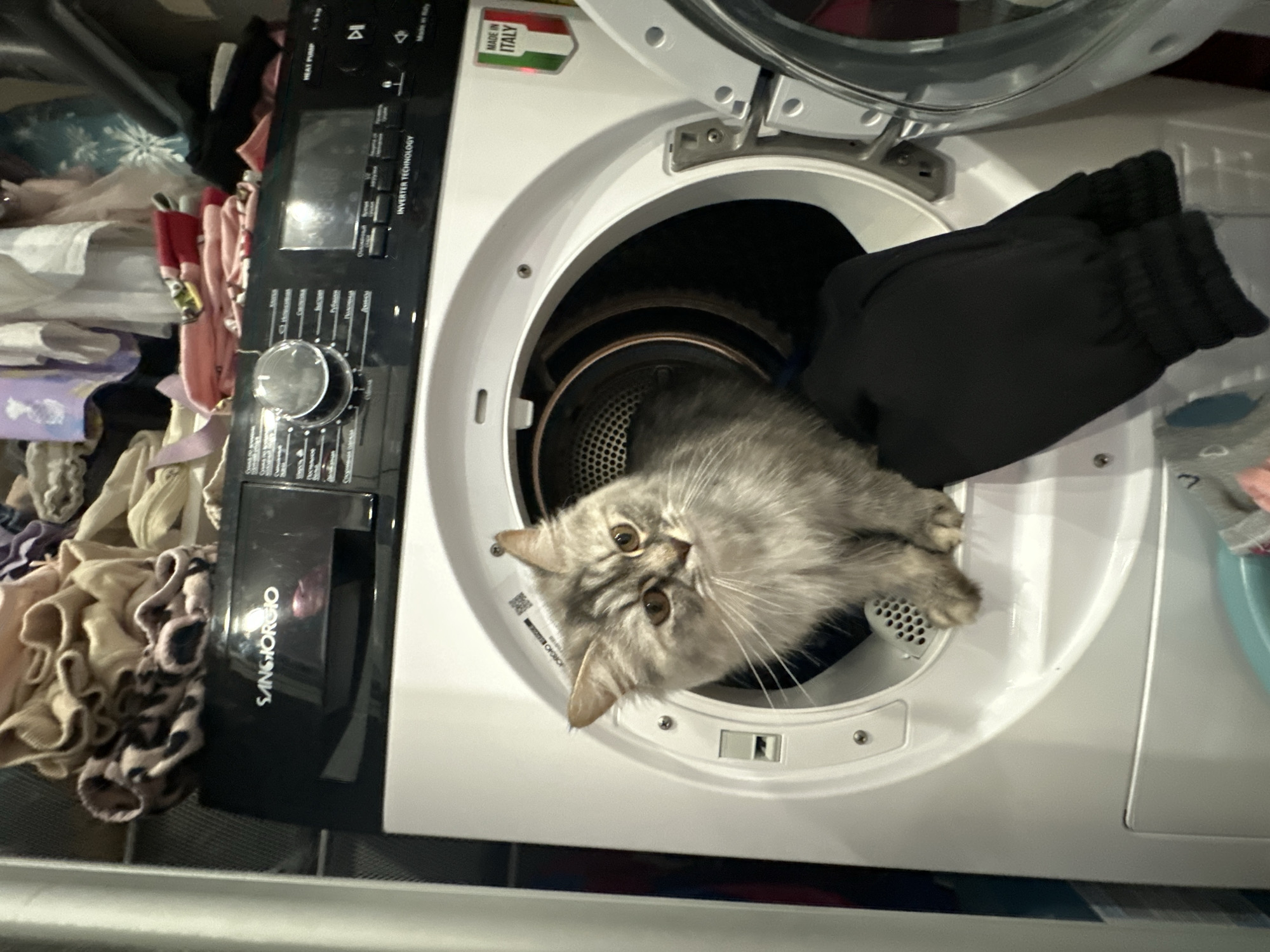 Morning domestic life documented in Chaikovsky: cats, selfies, baby care