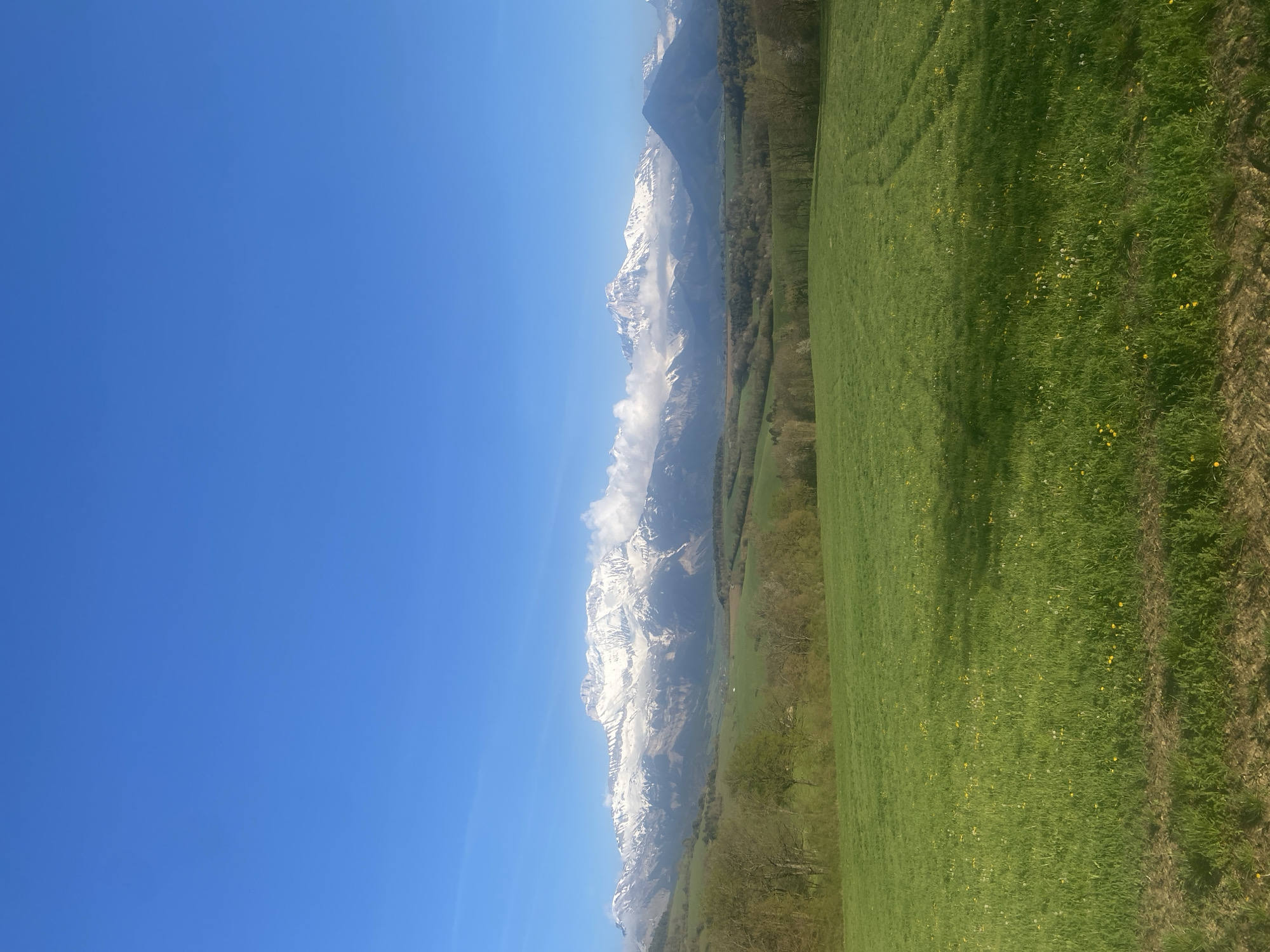 Person photographed in alpine field near Cornillon-en-Trièves, France