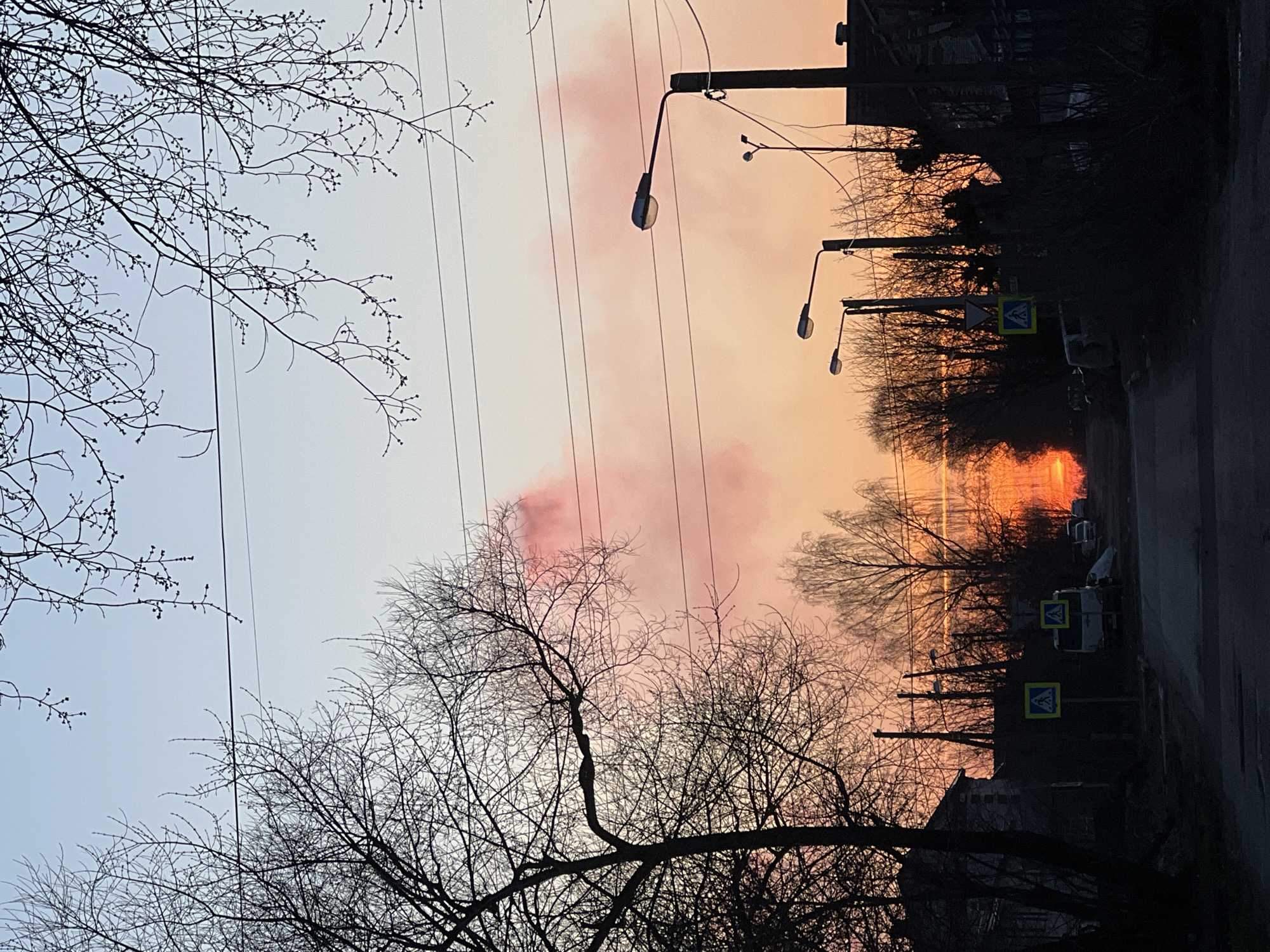 Twilight sky gradient captured over bare trees in Berezniki