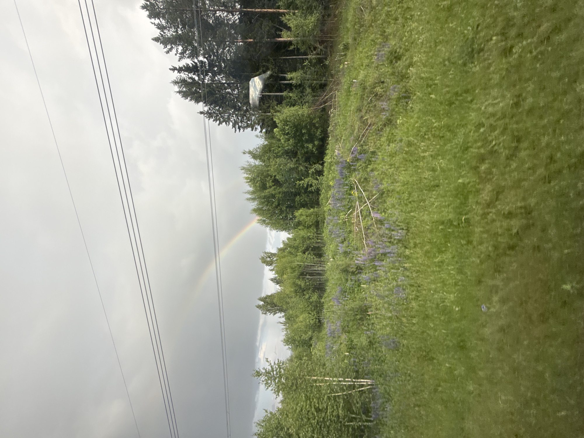 Double rainbow appears over Russian forest during cloudy afternoon