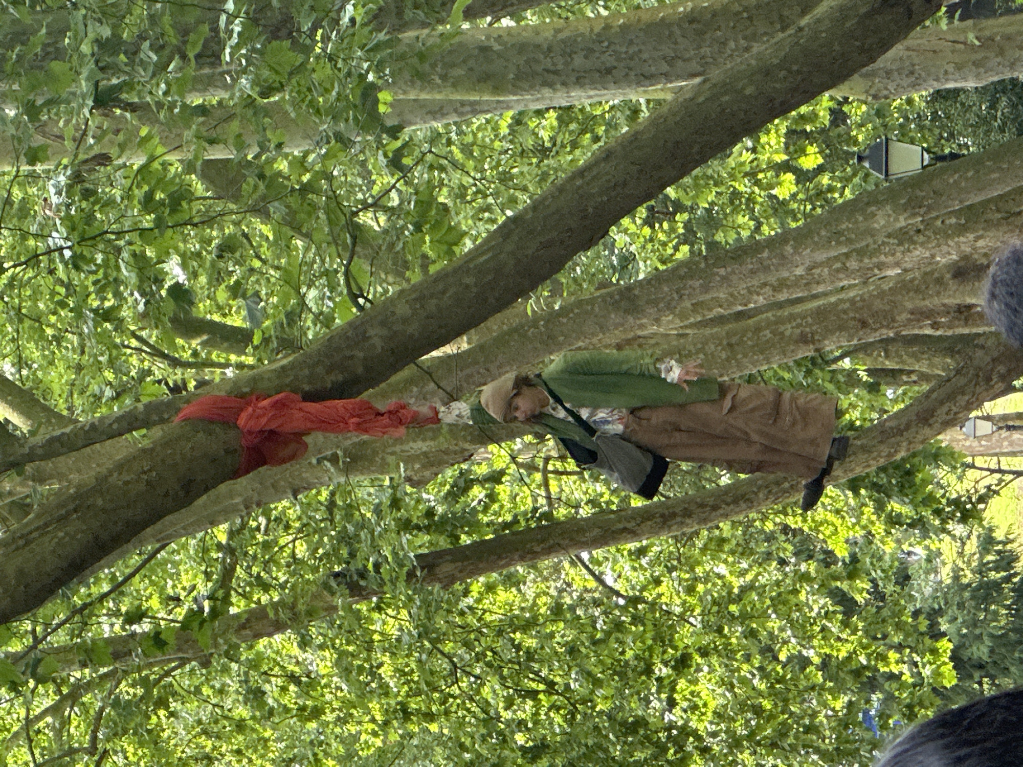 Activist suspended from tree; turtle spotted on stone ground in Oviedo