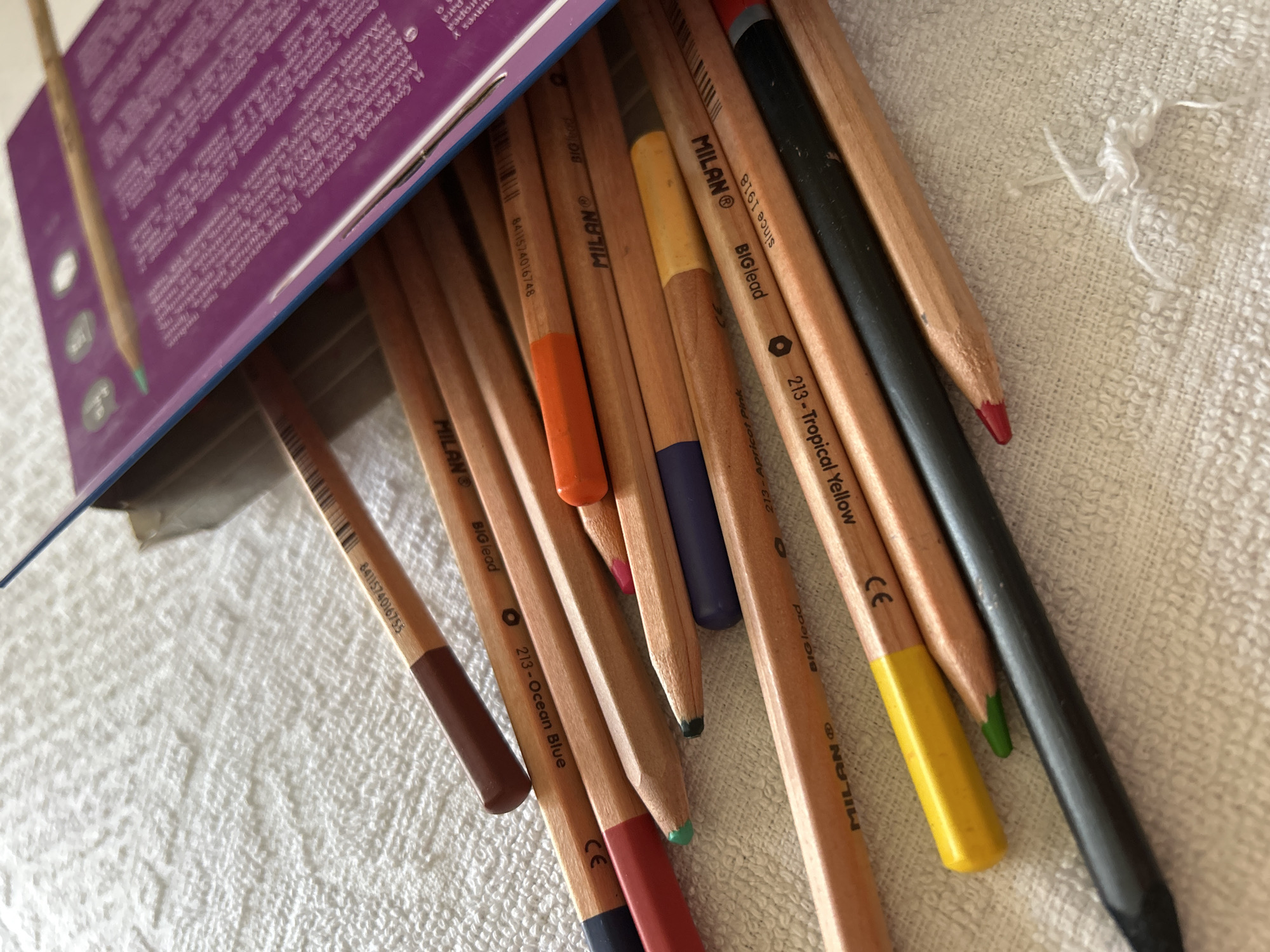 Sketches, watercolors, and a tabby cat in a Moscow apartment