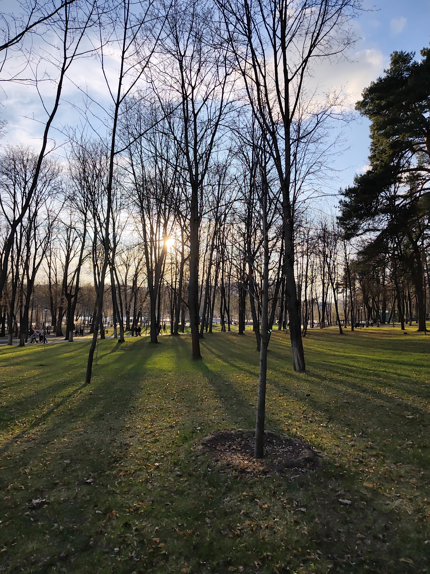 Afternoon park life documented in Ramenskoye, Russia