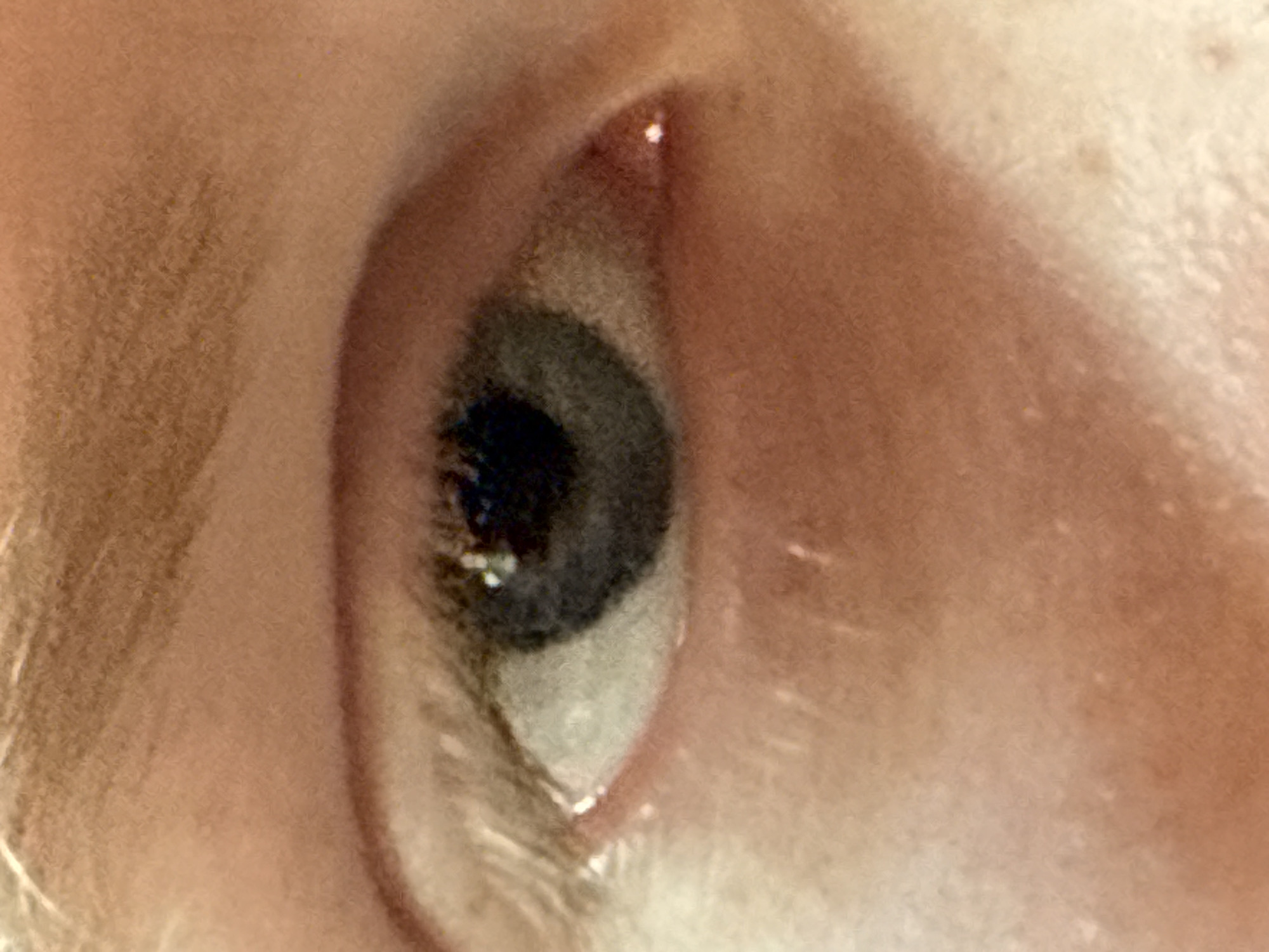 Eye portraits, dirt biking, sun flares, and blooming peonies