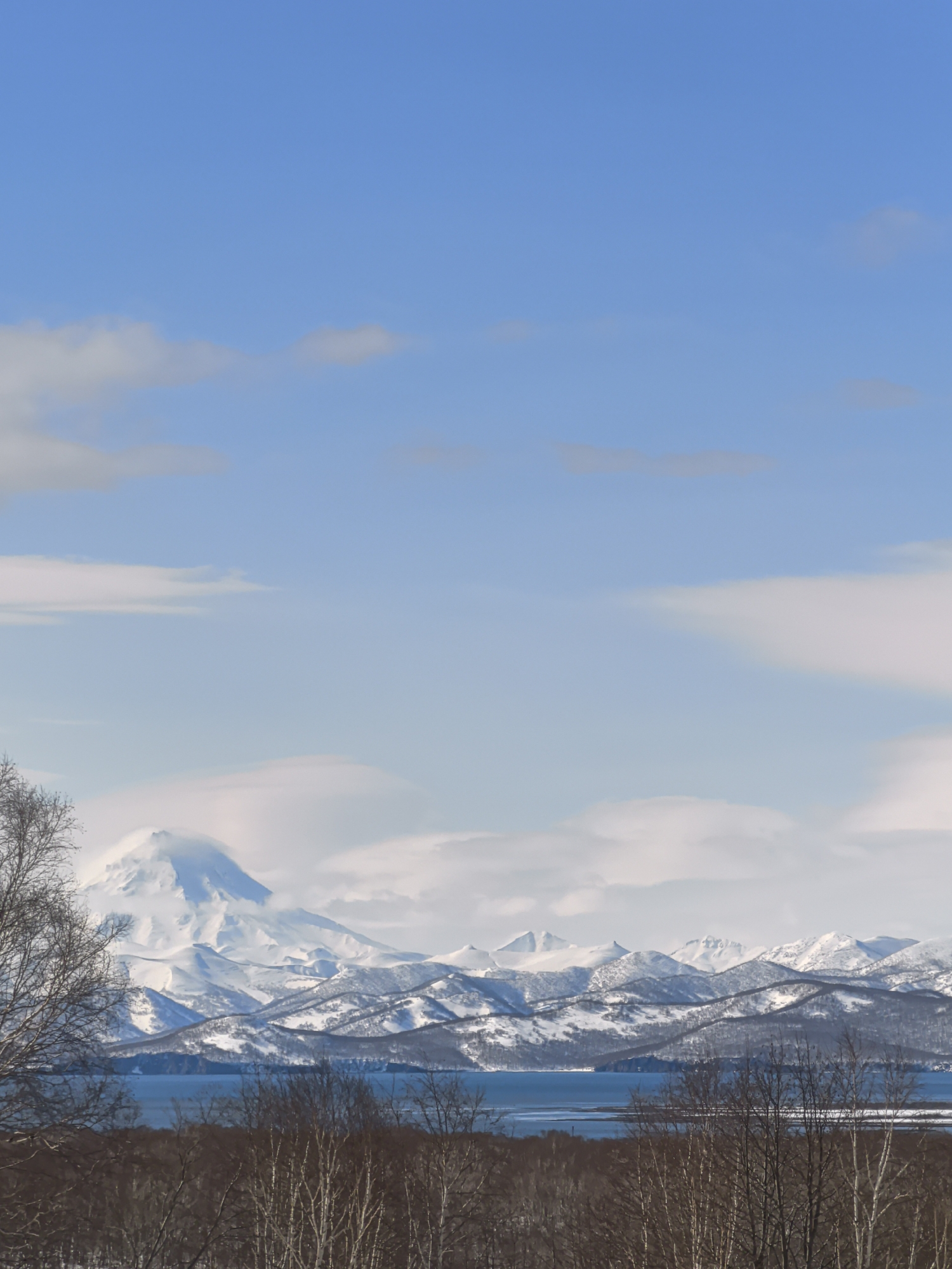 Snow-capped mountain dominates urban landscape with residential buildings