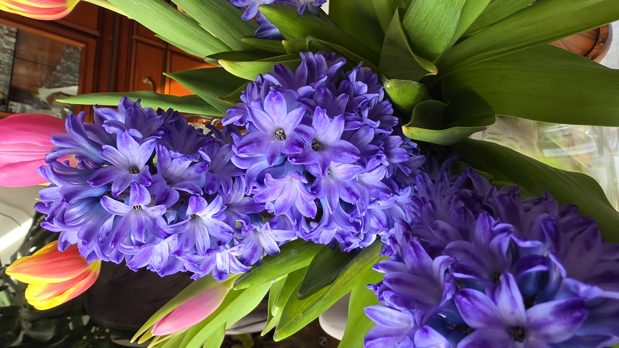 Spring bouquet with purple hyacinths displayed in London