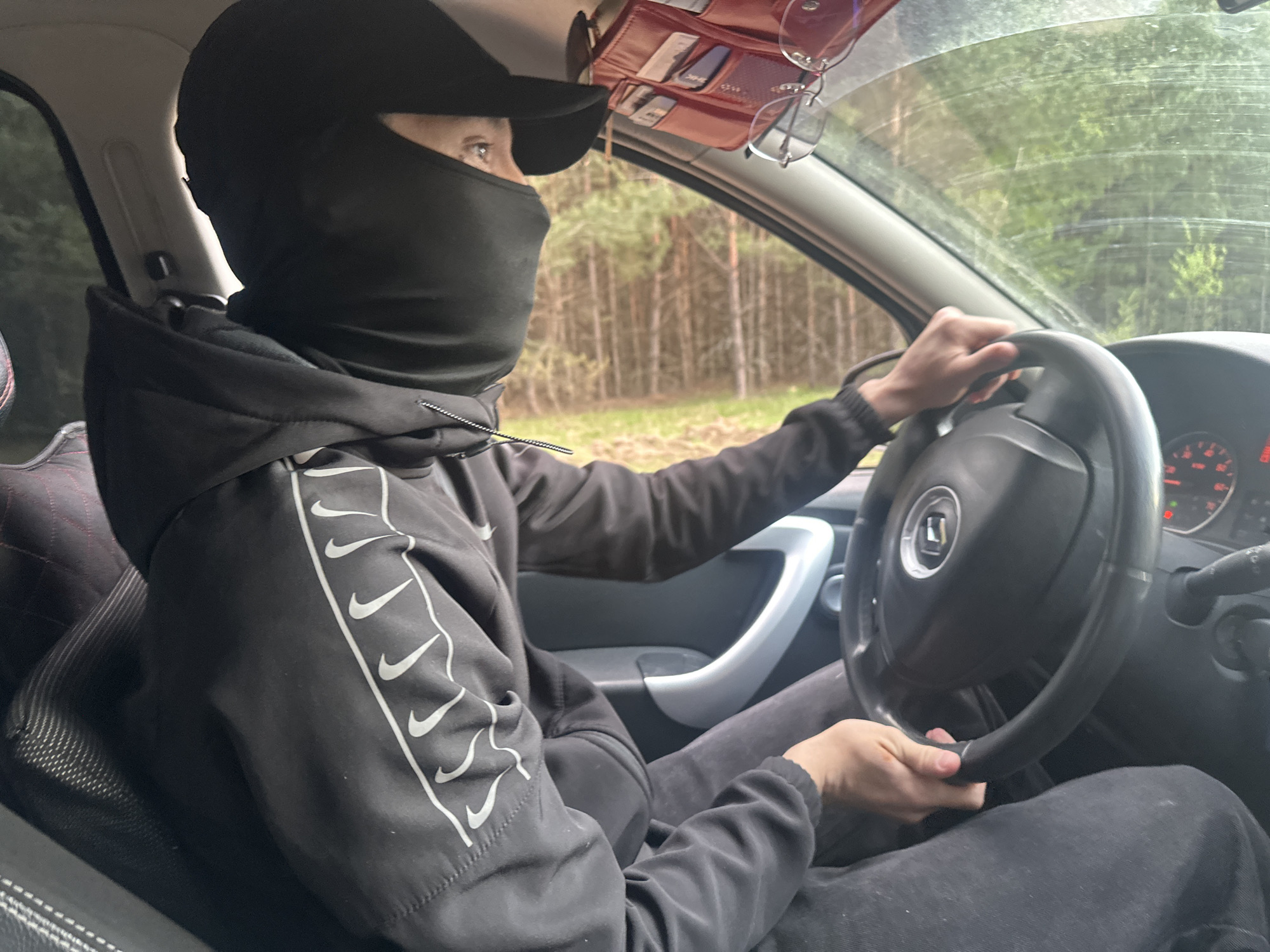 Rural car journey and lizard encounter documented in Chaikovsky