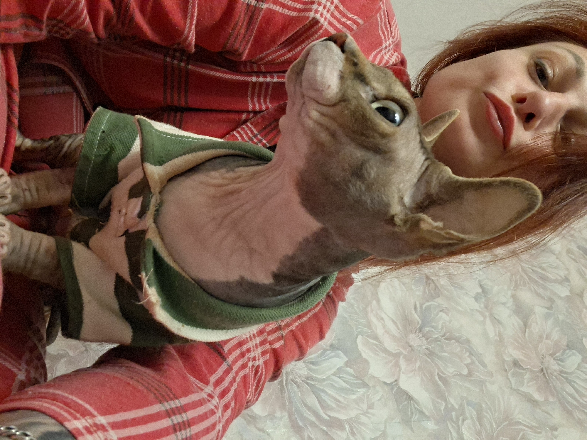 Woman poses with sweater-wearing Sphynx cat in Belarus village