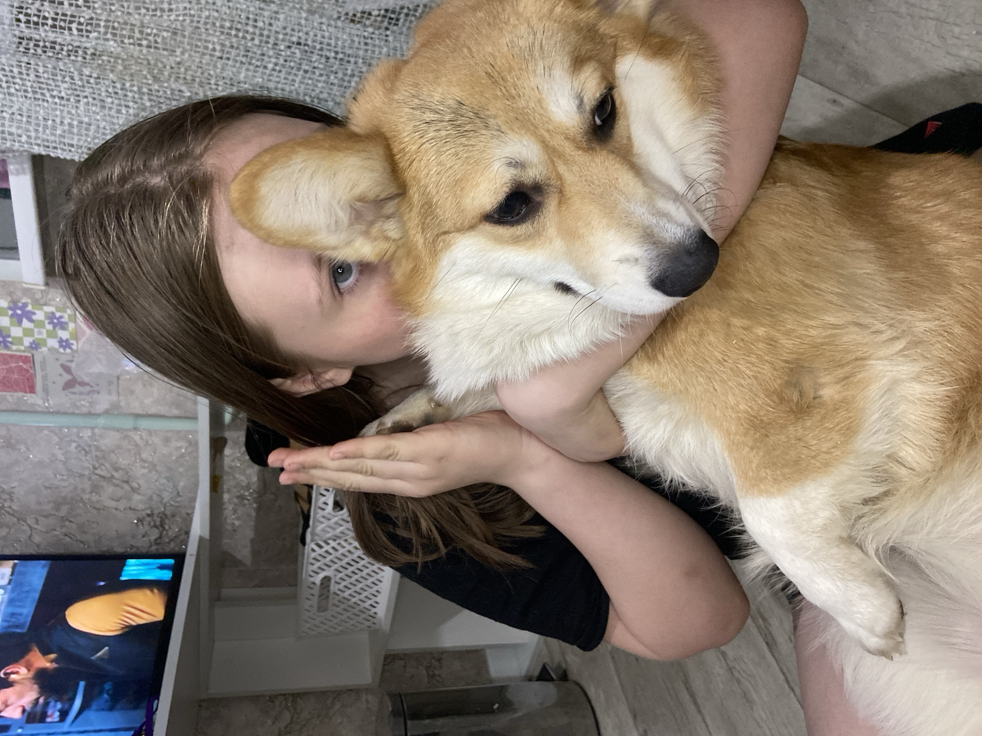 Quiet afternoon with pets in Russian home