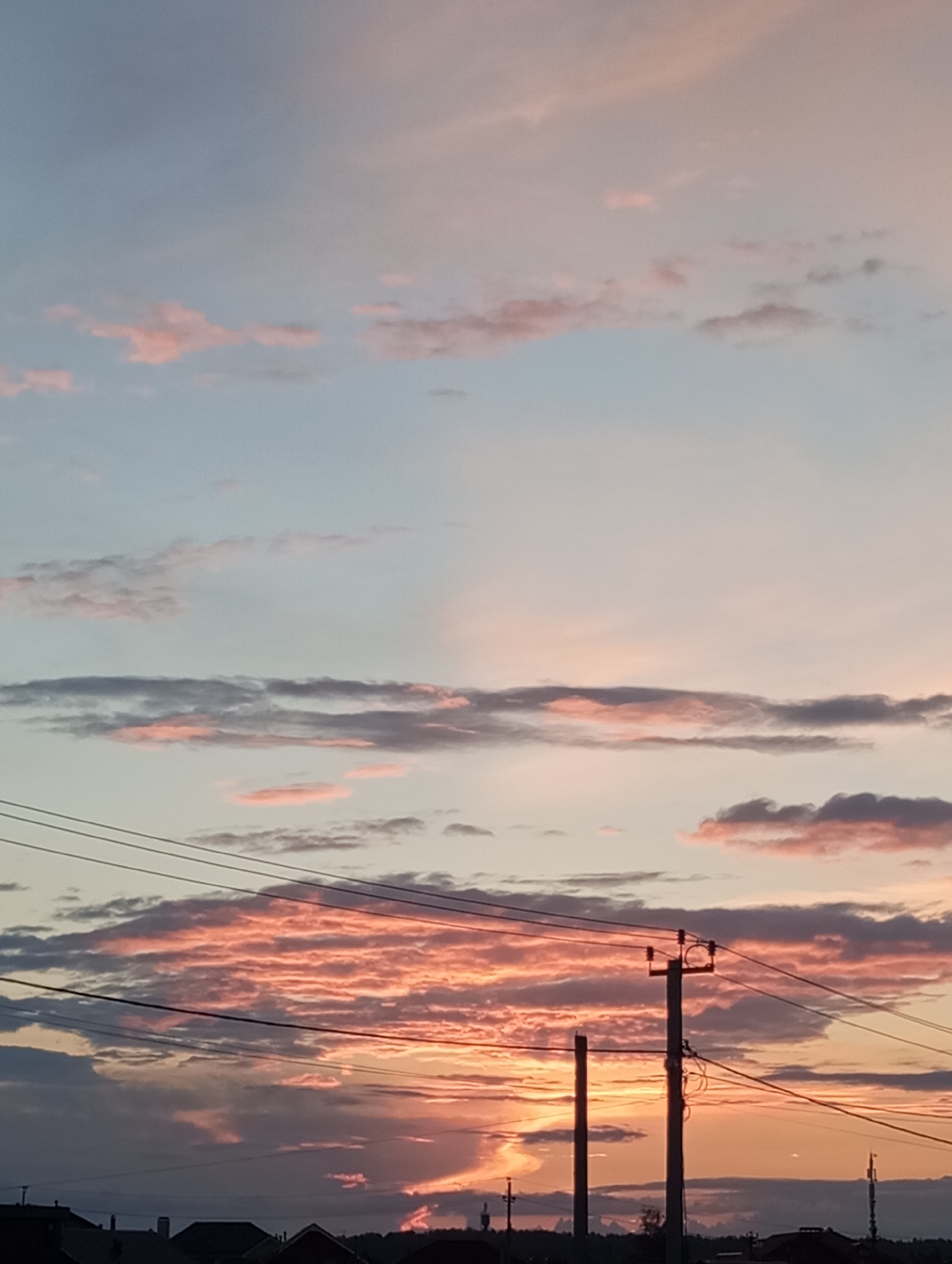 Cozy evening in Verkhnyaya Pyshma: cats, plants, and a striking sunset