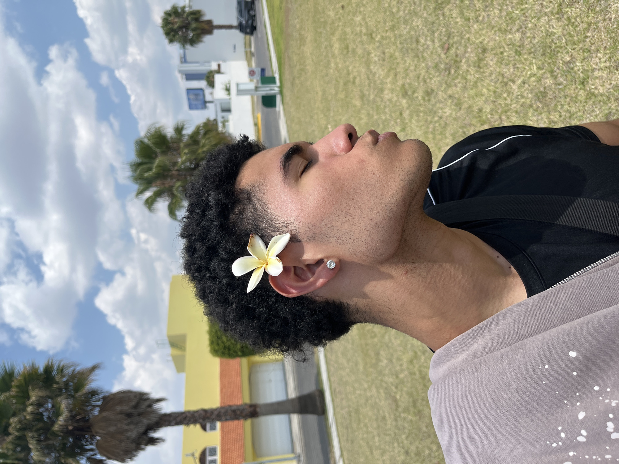 Spring plumeria blooms documented in Mexican residential area
