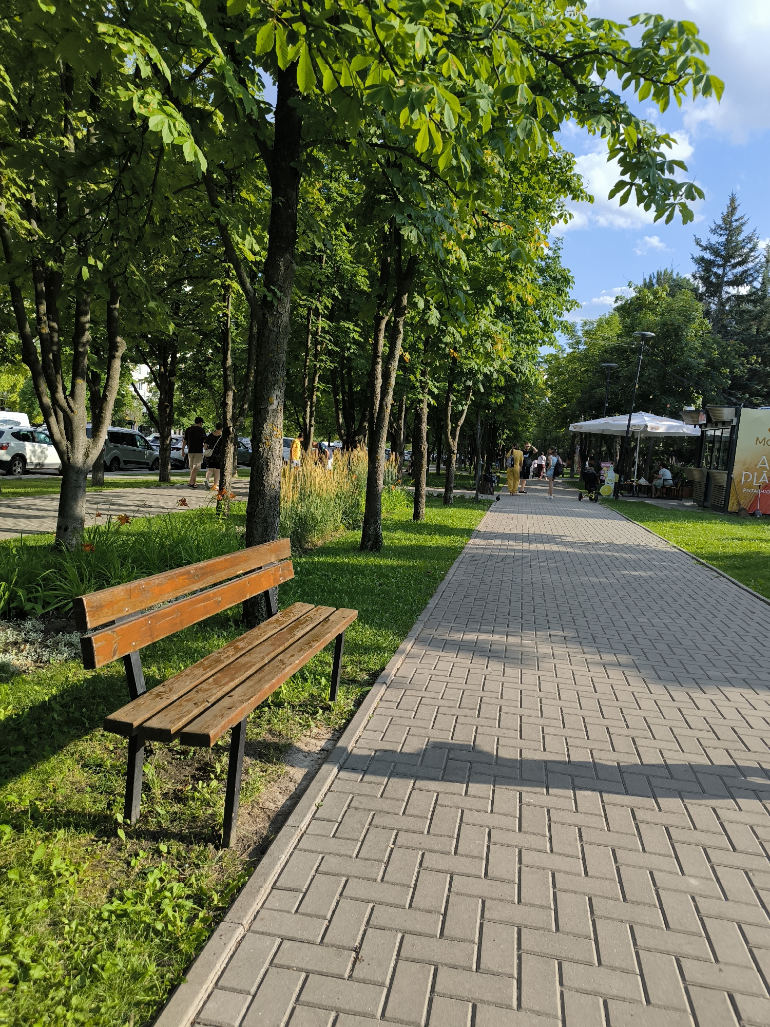 Lazy summer afternoon in a Chișinău city park