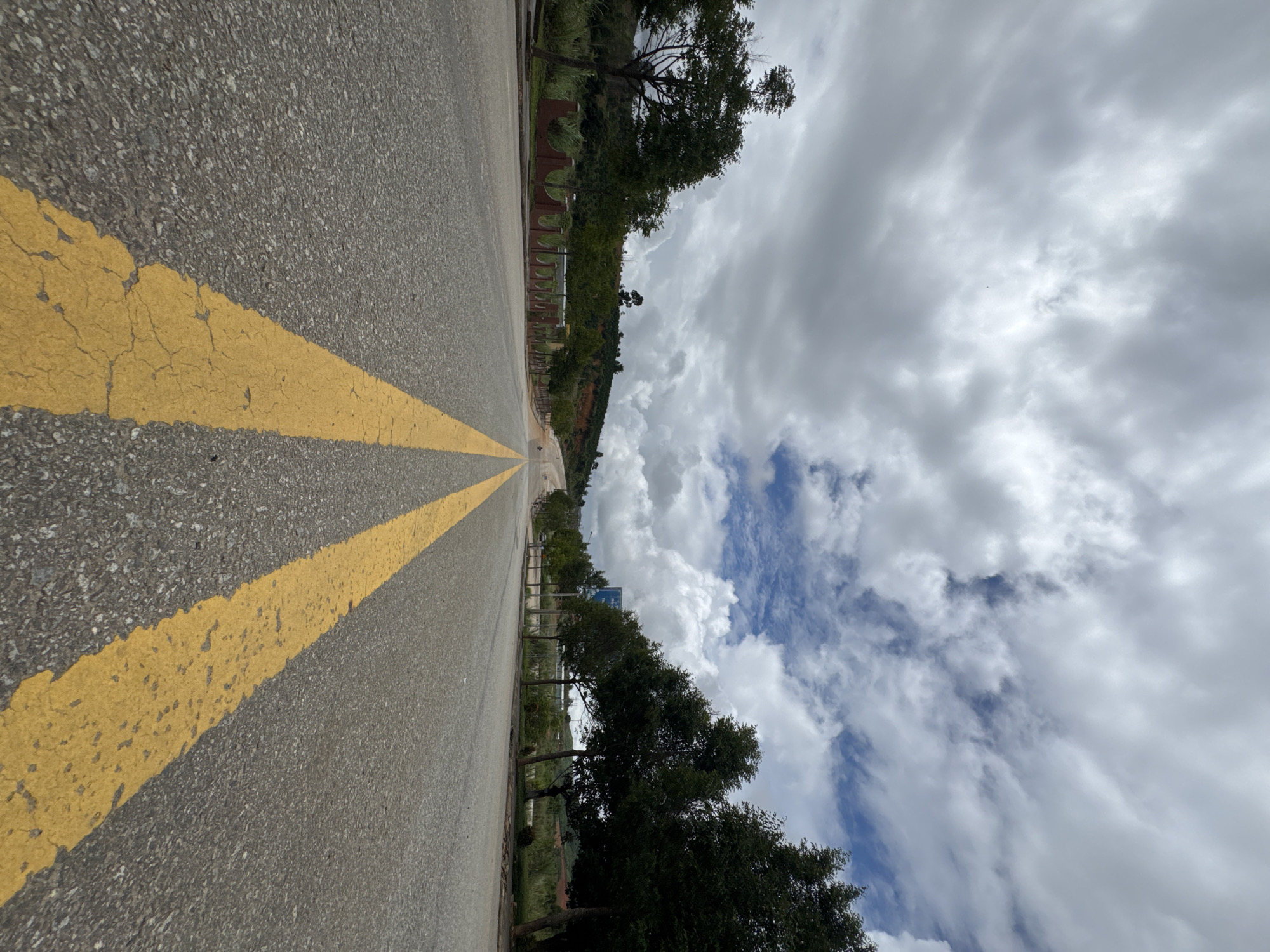 Street, signage, and parkland details along Bo Y's main road