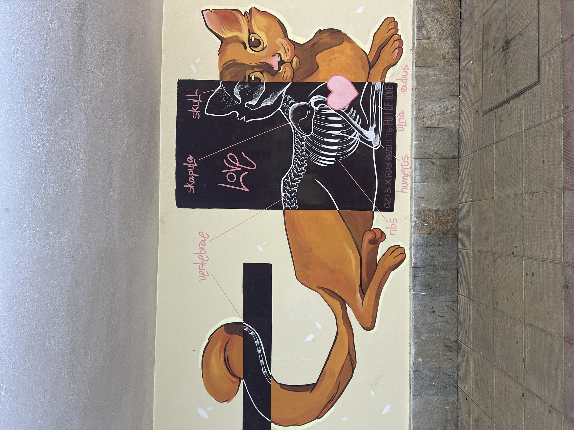 Live guitar and street art share a Sofia underpass