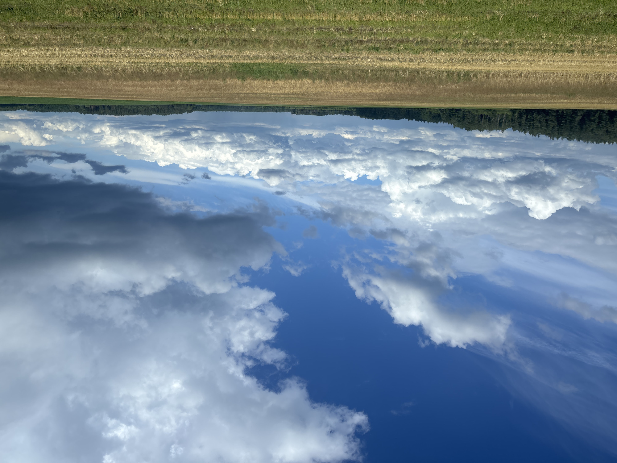 Belarusian farmland under a big summer sky