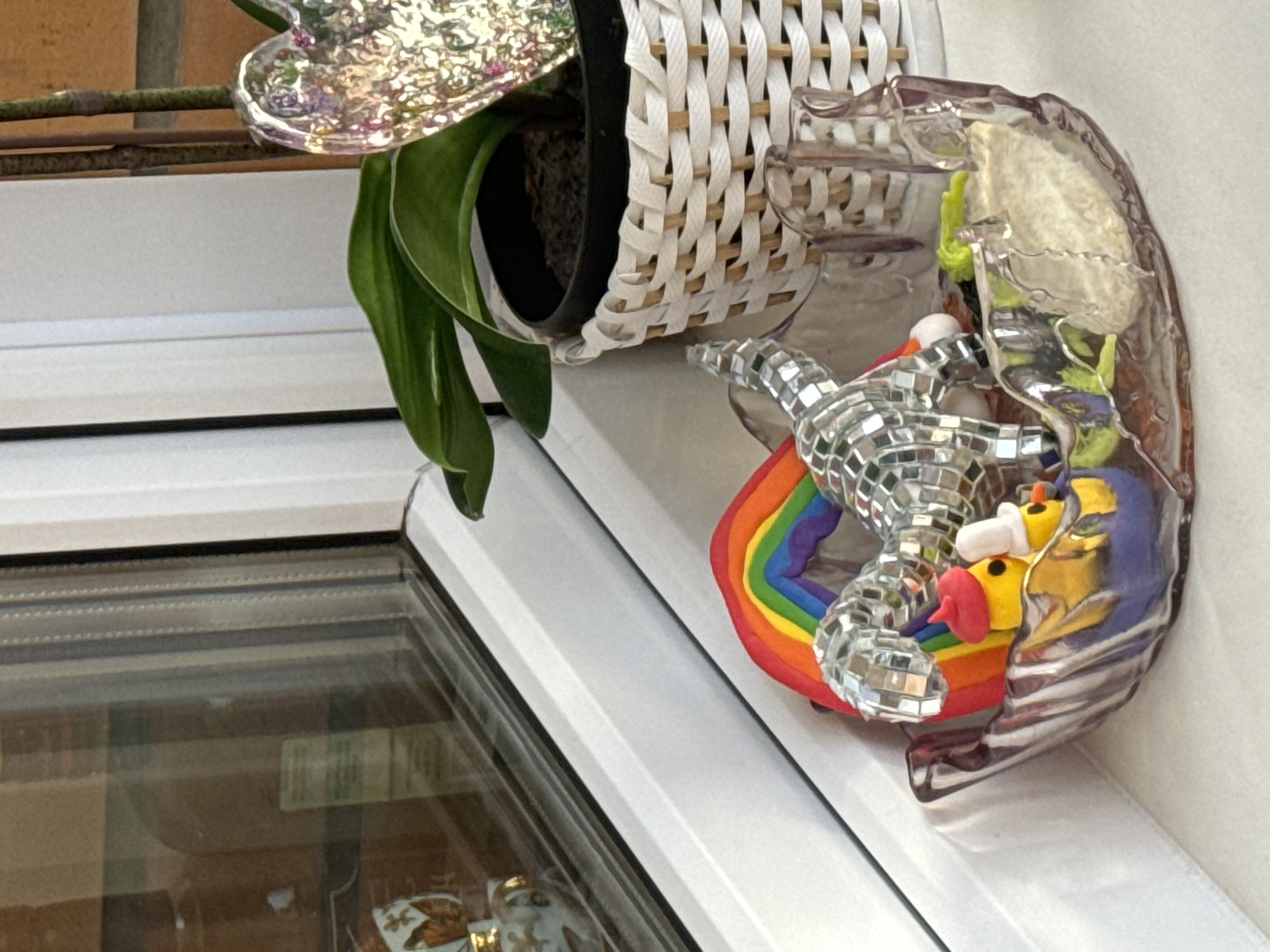 Windowsill arrangement with houseplant documented in Krasnoyarsk