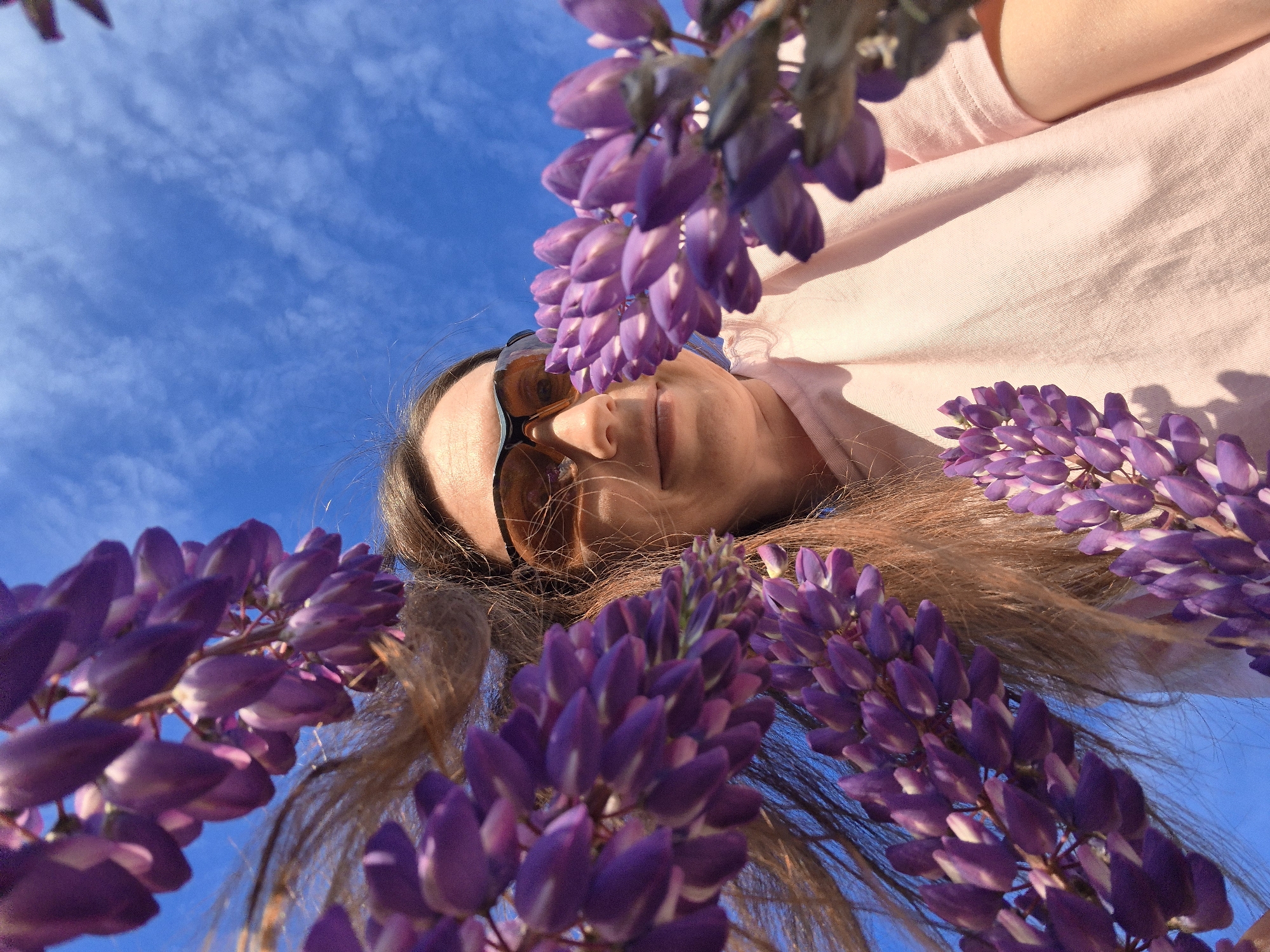 Woman documents lupine fields and churches in Chaikovsky, Russia
