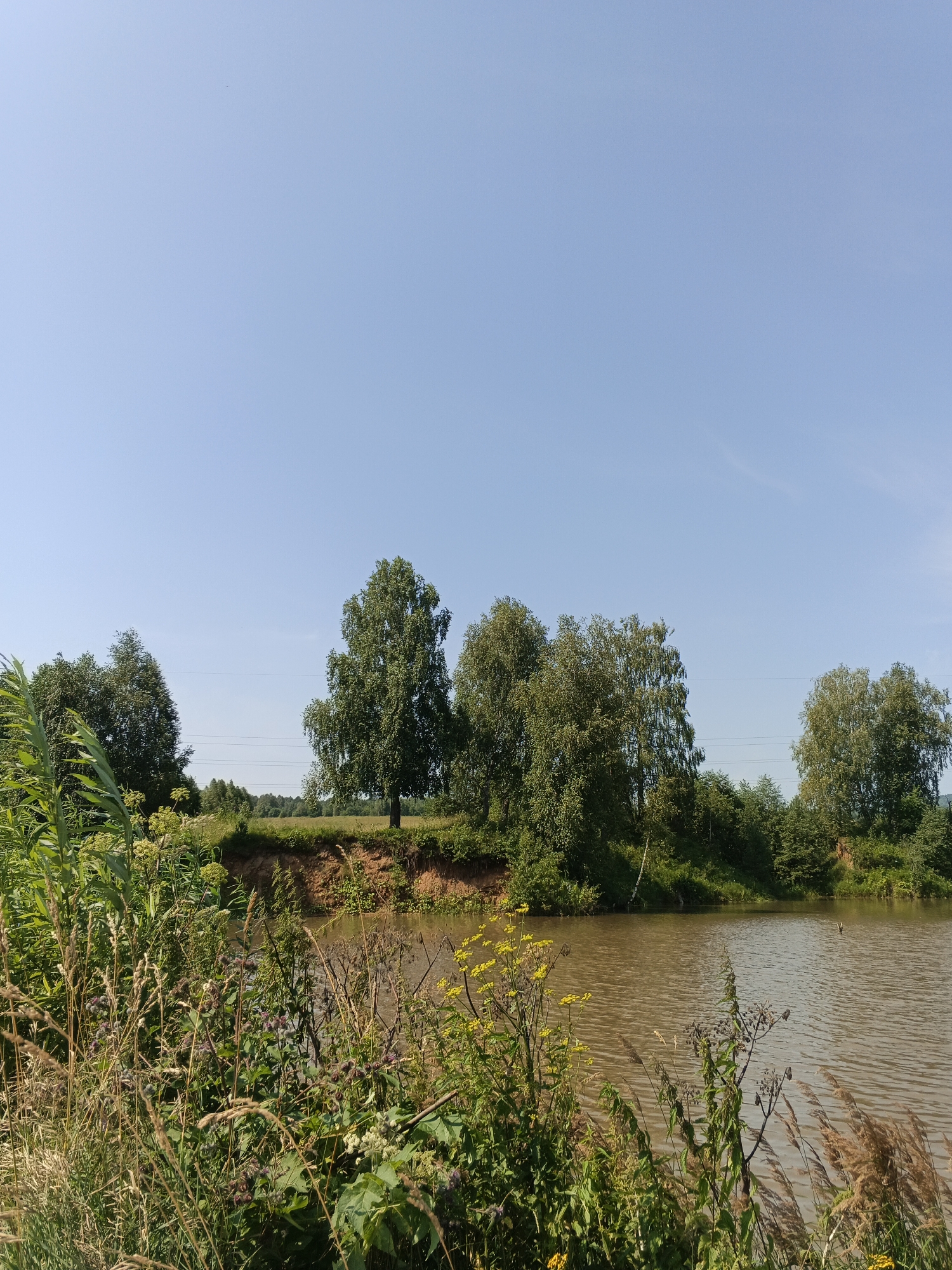 Summer morning in rural Urtiushka: wildflowers, river views, dirt roads