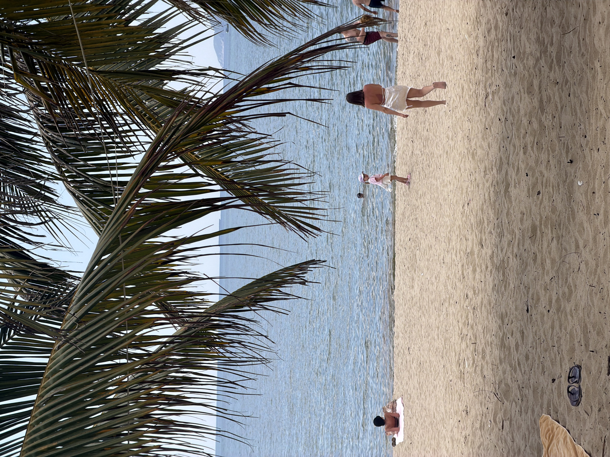 Morning documentation captures Nha Trang street life and beaches