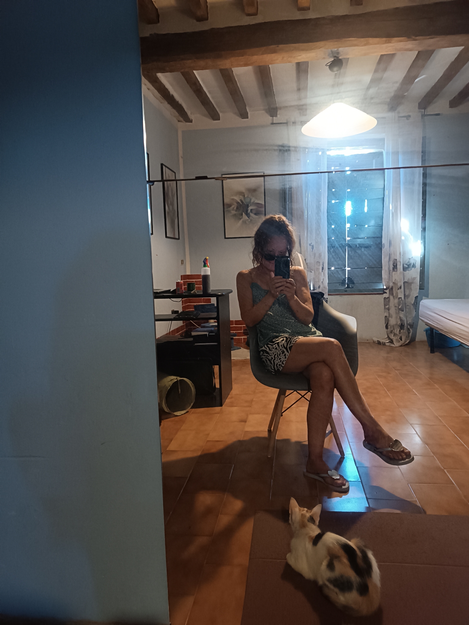 Lazy afternoon in Viadana with cats, art, and backyard wildlife