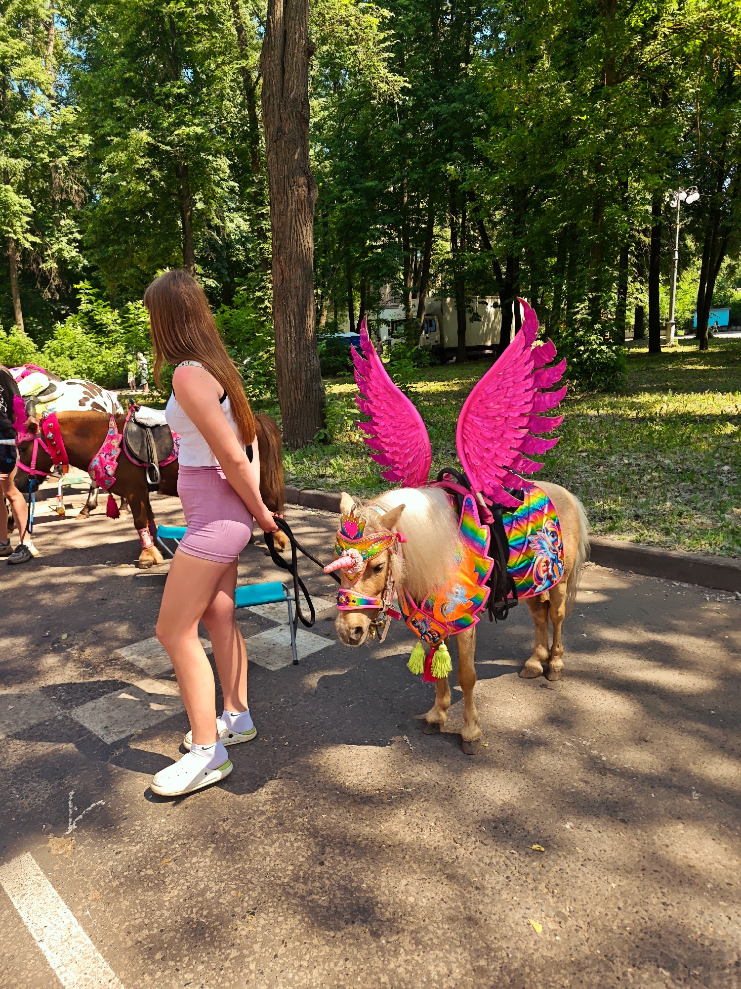 Festive outdoor market with decorated animals operates in Kimry, Russia