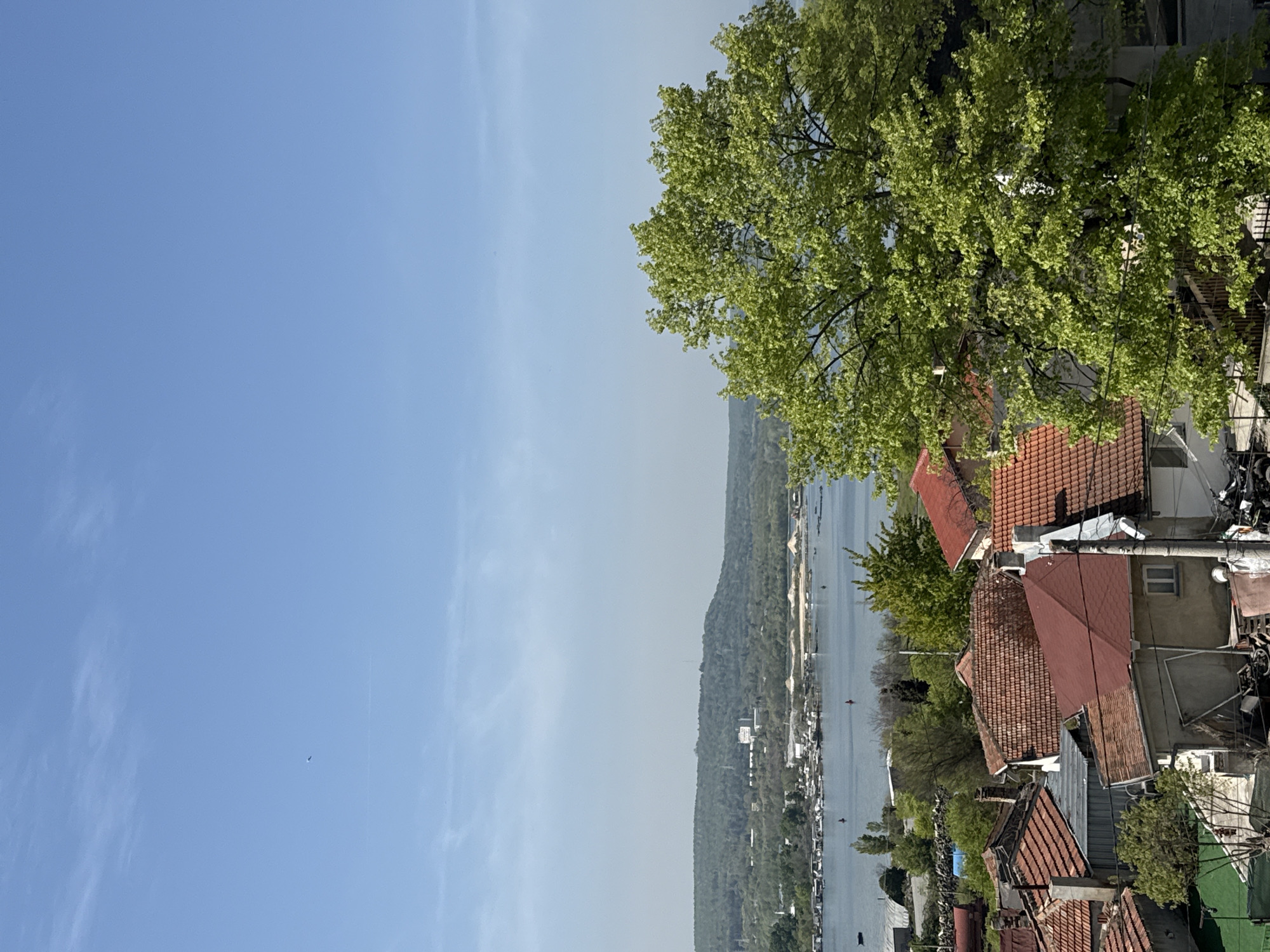 Morning coffee moment overlooking Varna's coastline captured by witness