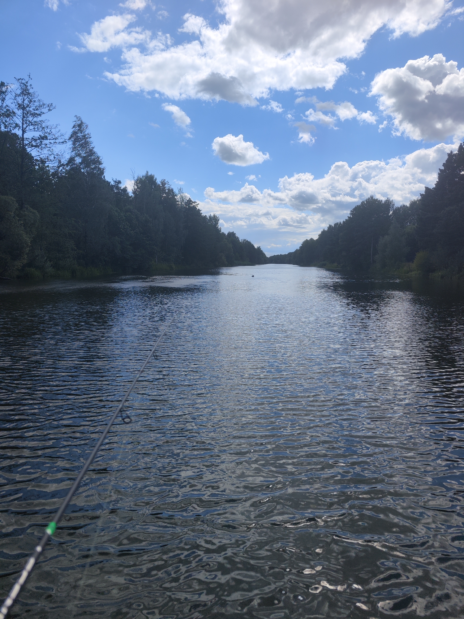 Calm river scene through forested countryside in rural Belarus