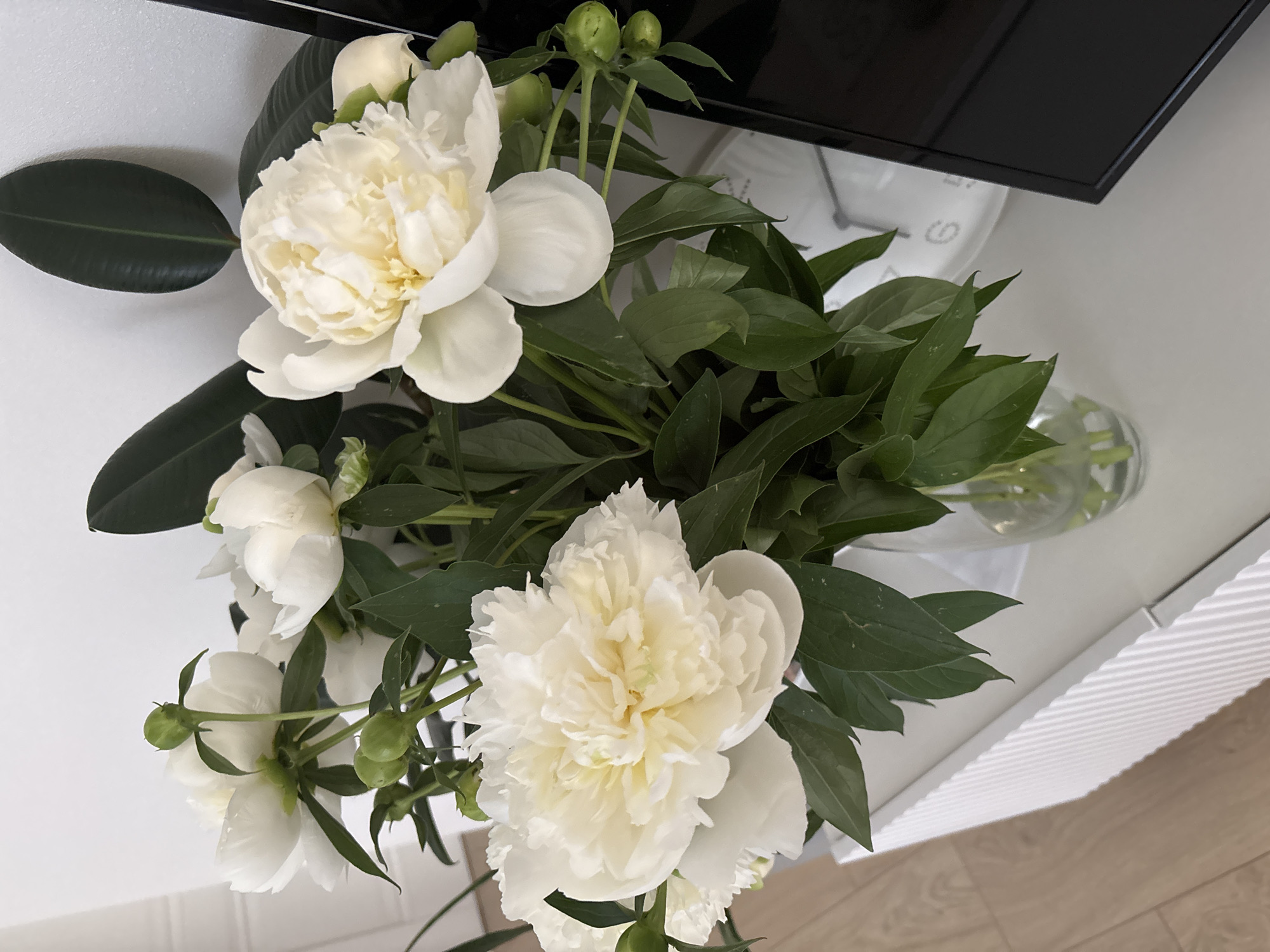 White peonies and mirror selfies in a Chaikovsky apartment