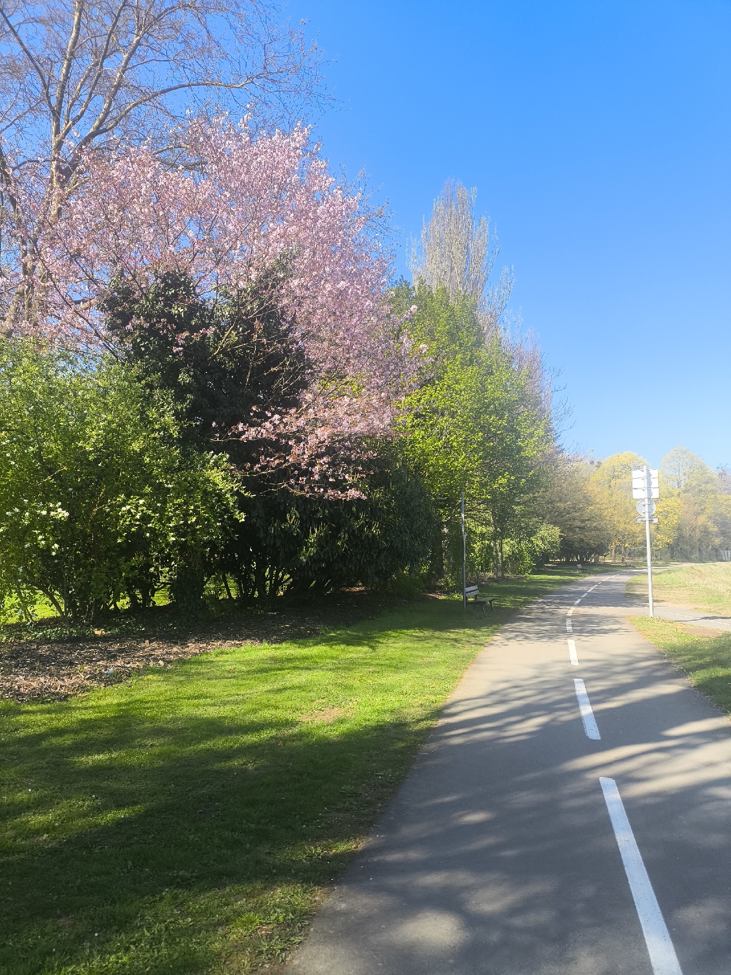 Morning scenes from Strasbourg park pathways and canal