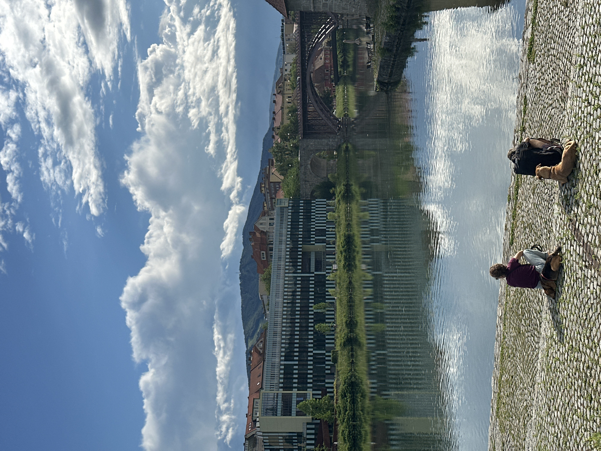 Person and dog rest along Drava riverbank in Maribor