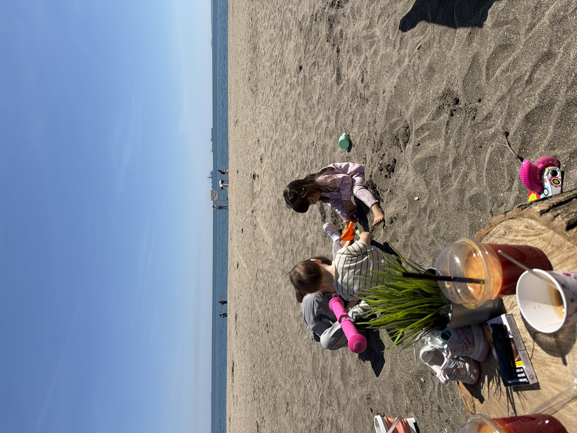 Spring morning coastal life documented across beaches and neighborhoods